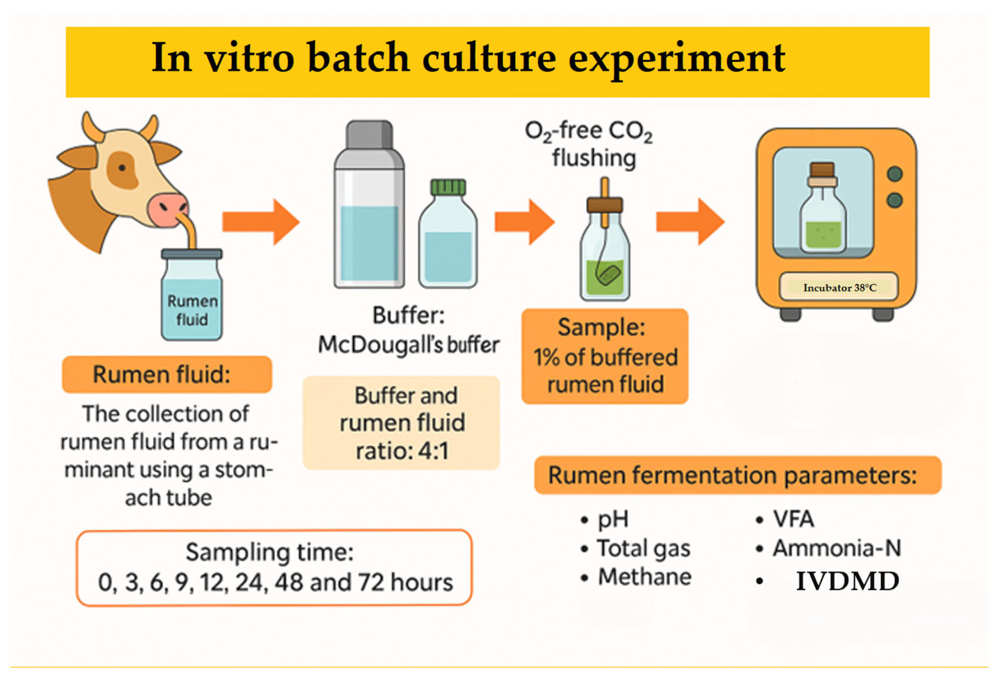 Animals 15 01372 g001