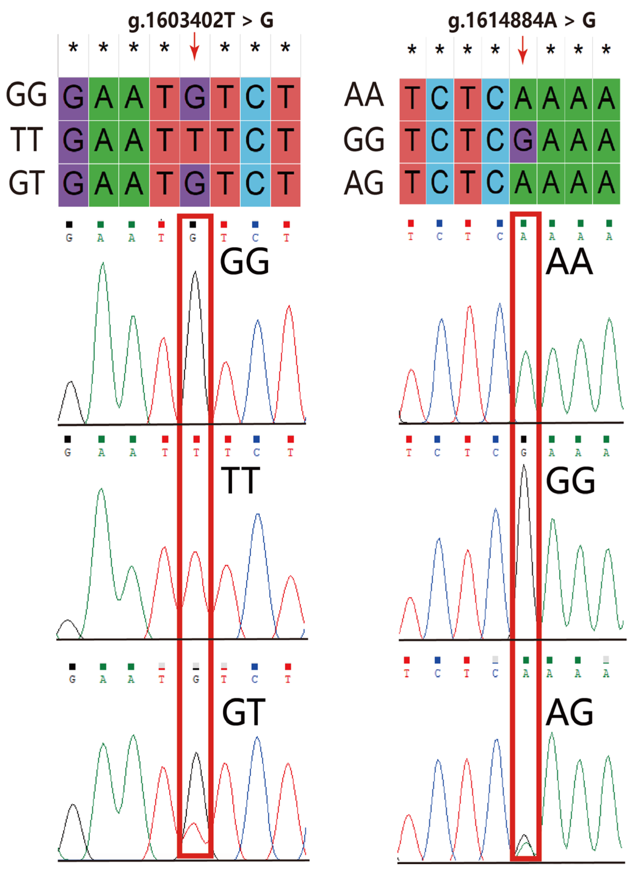 Animals 15 01373 g002