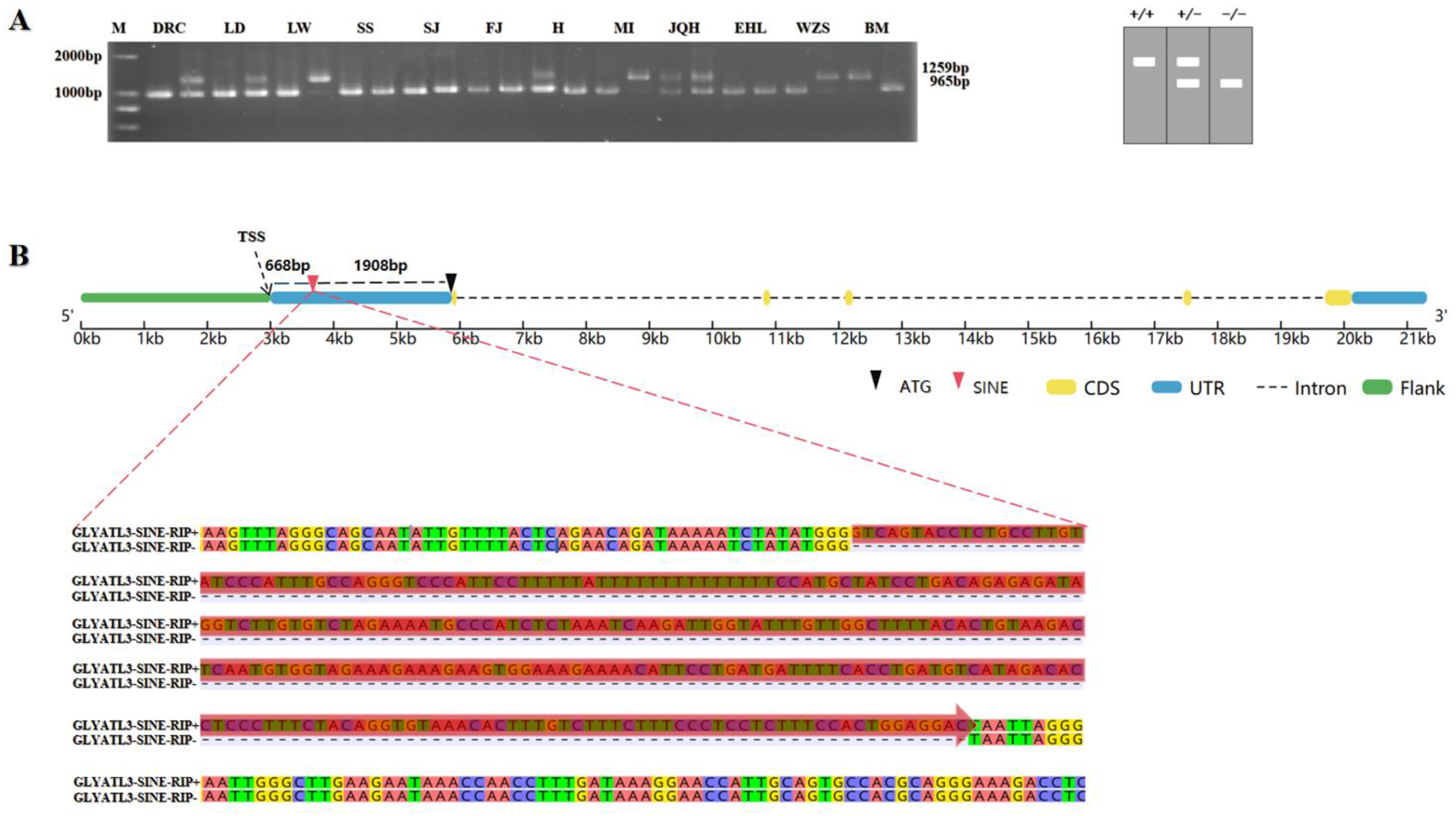 Animals 15 01375 g001