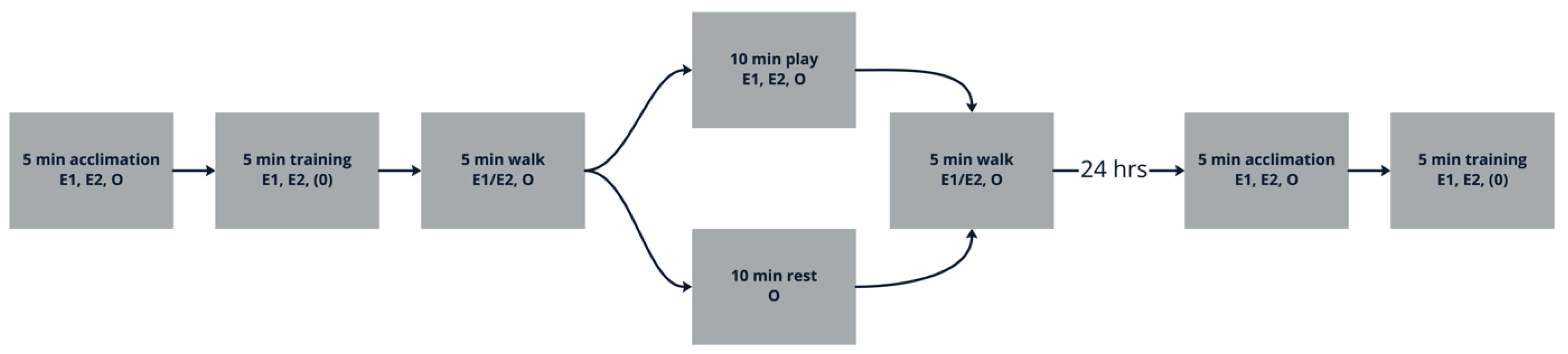 Animals 15 01378 g002