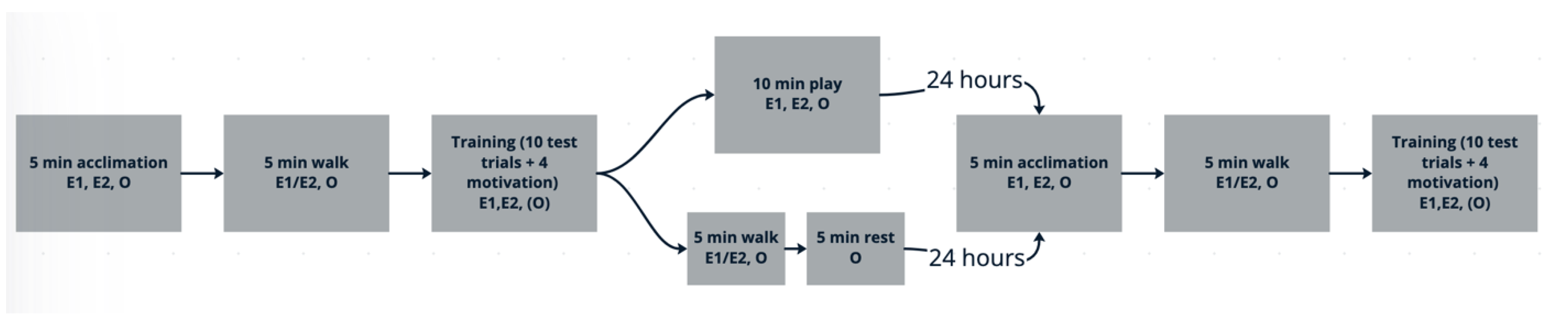 Animals 15 01378 g003