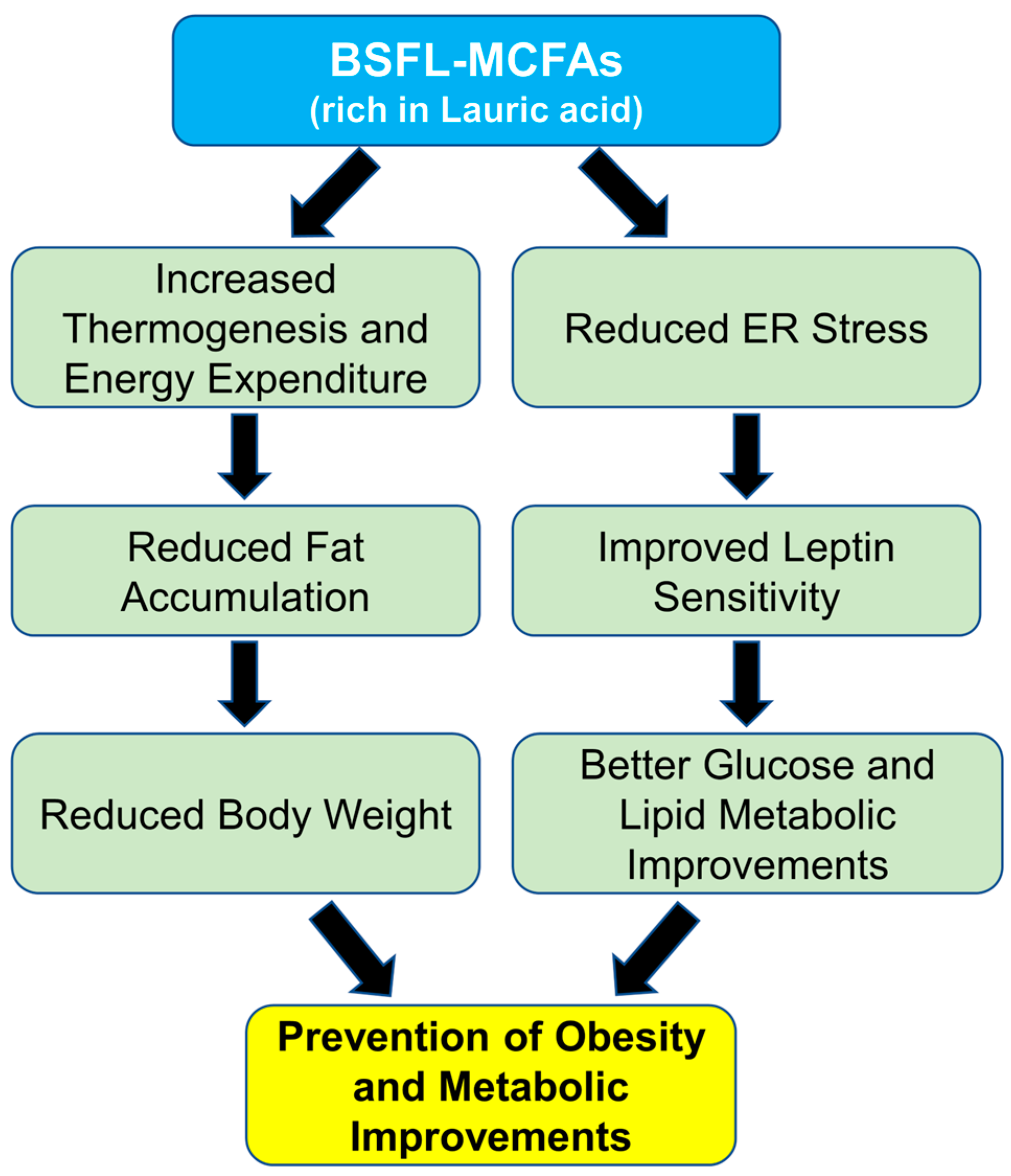 Animals 15 01384 g006