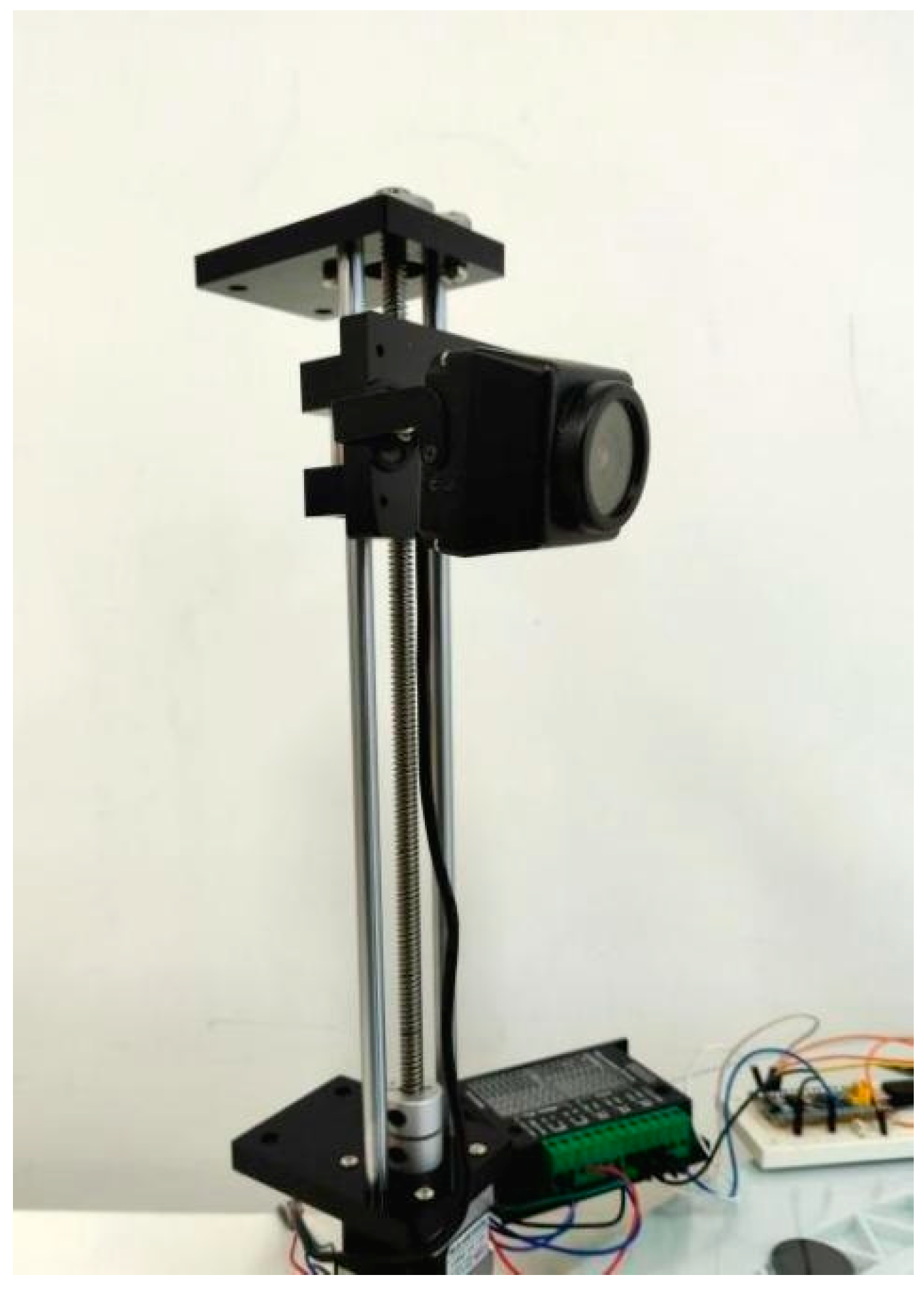 Animals 15 01388 g001