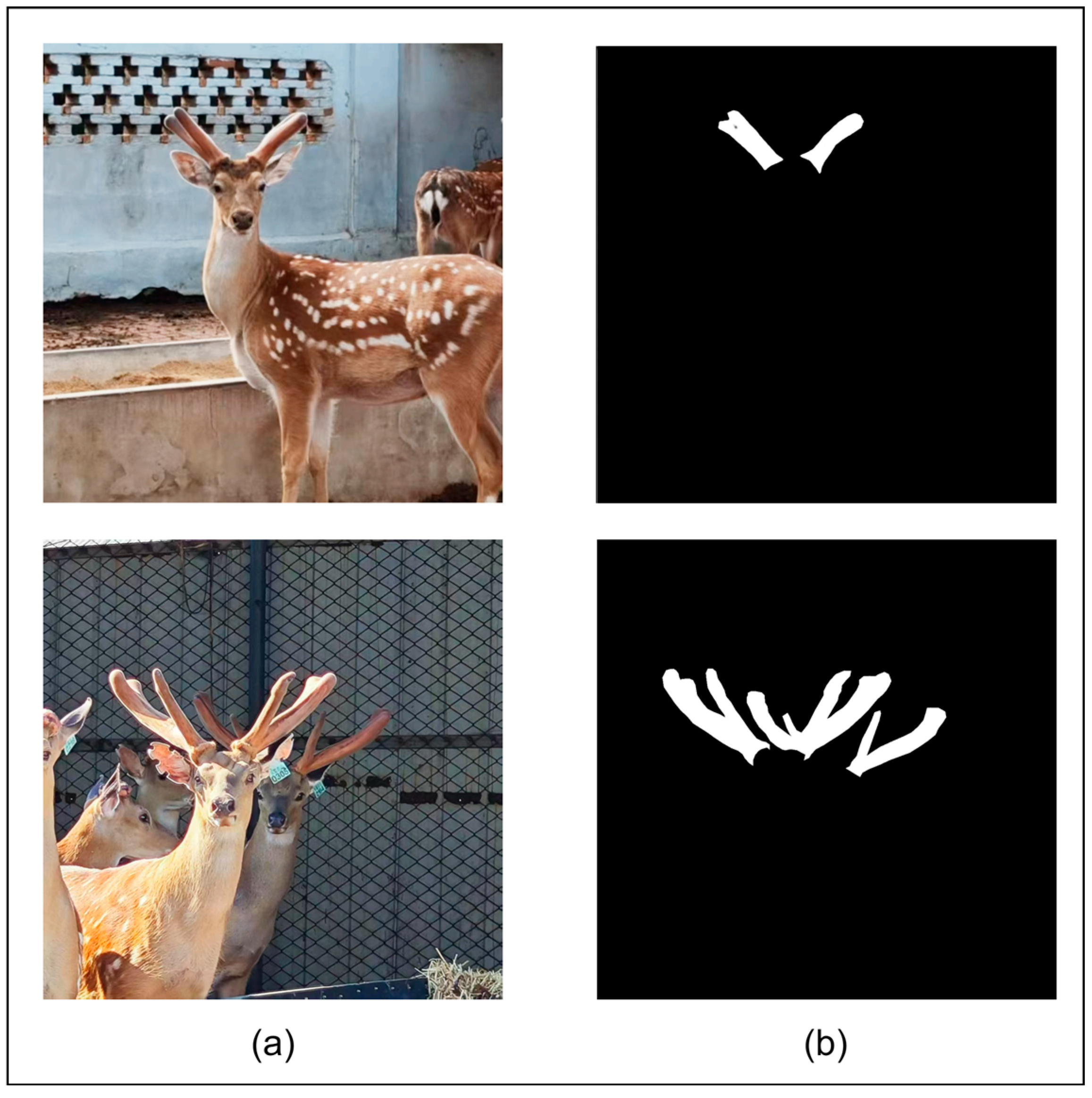 Animals 15 01388 g003