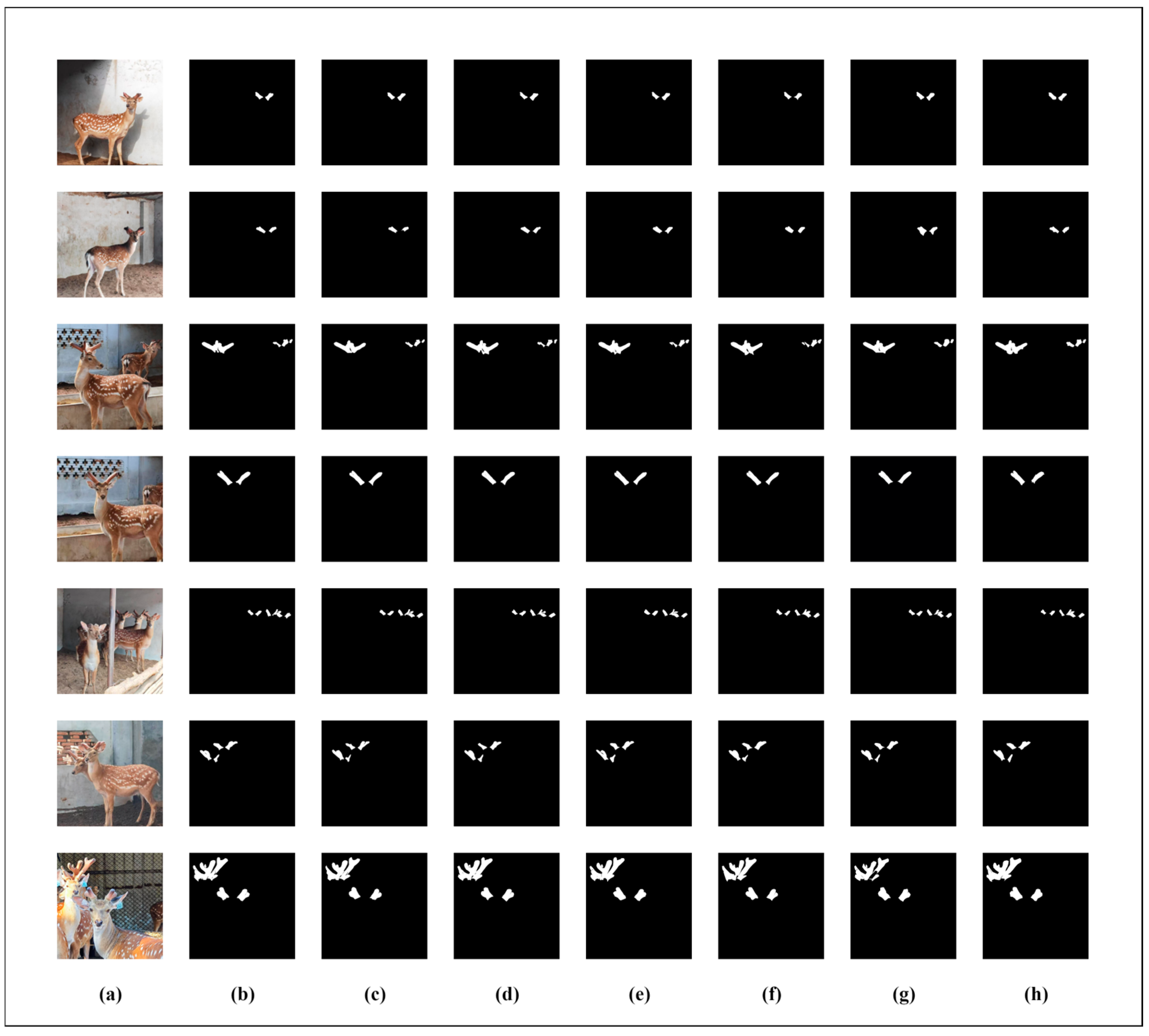 Animals 15 01388 g016