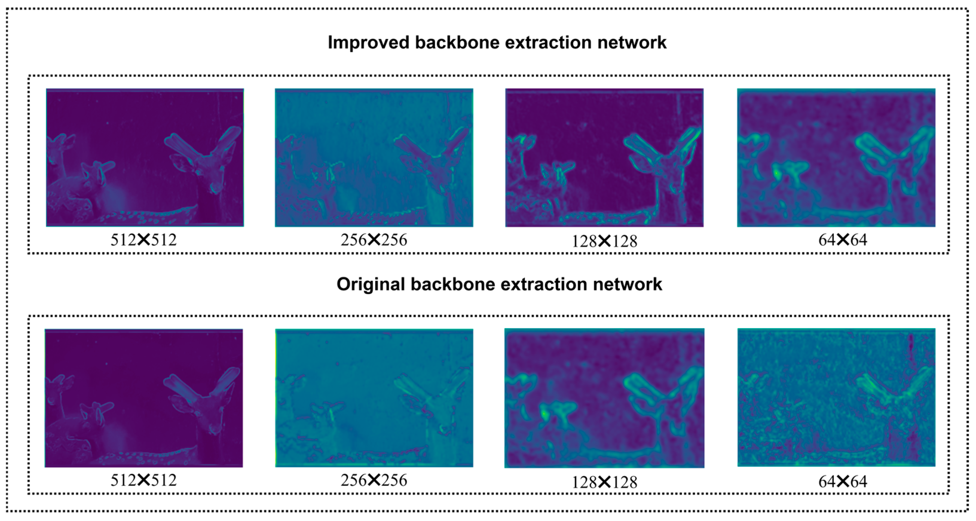 Animals 15 01388 g017