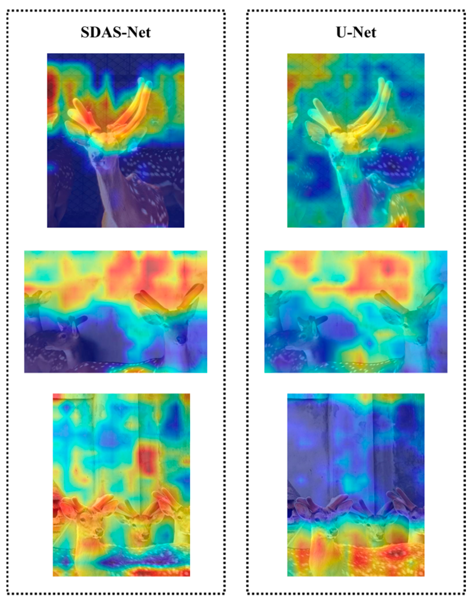 Animals 15 01388 g018