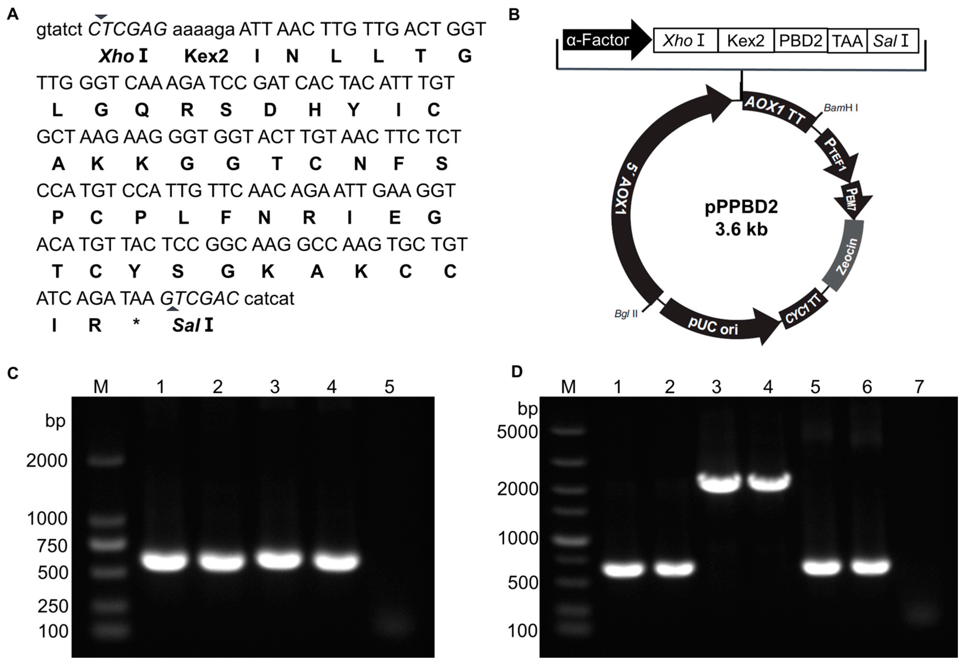 Animals 15 01389 g001