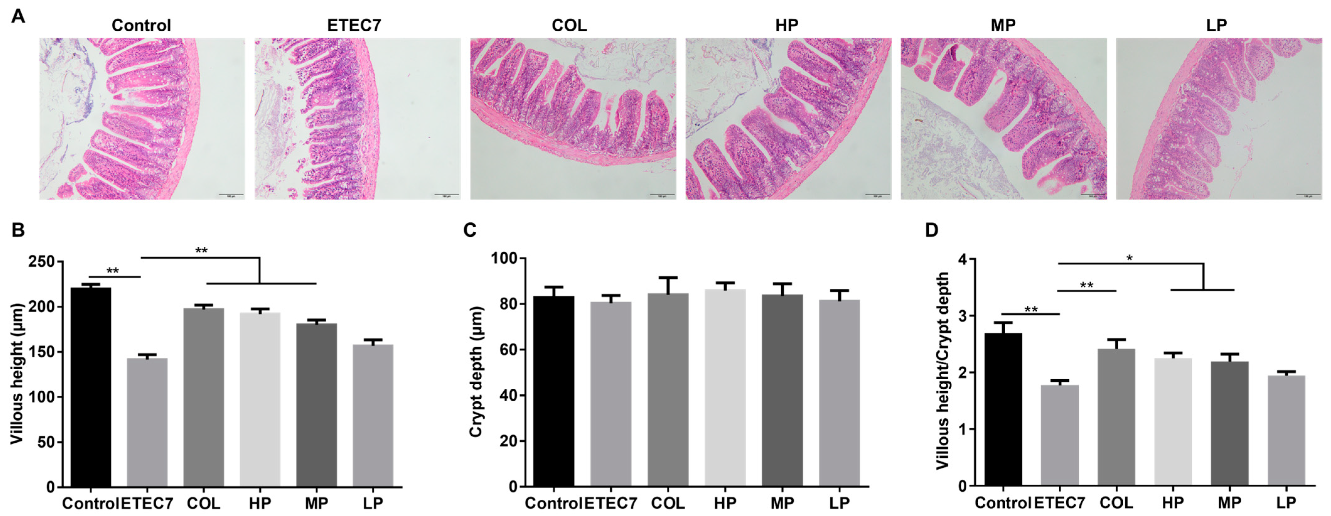 Animals 15 01389 g007