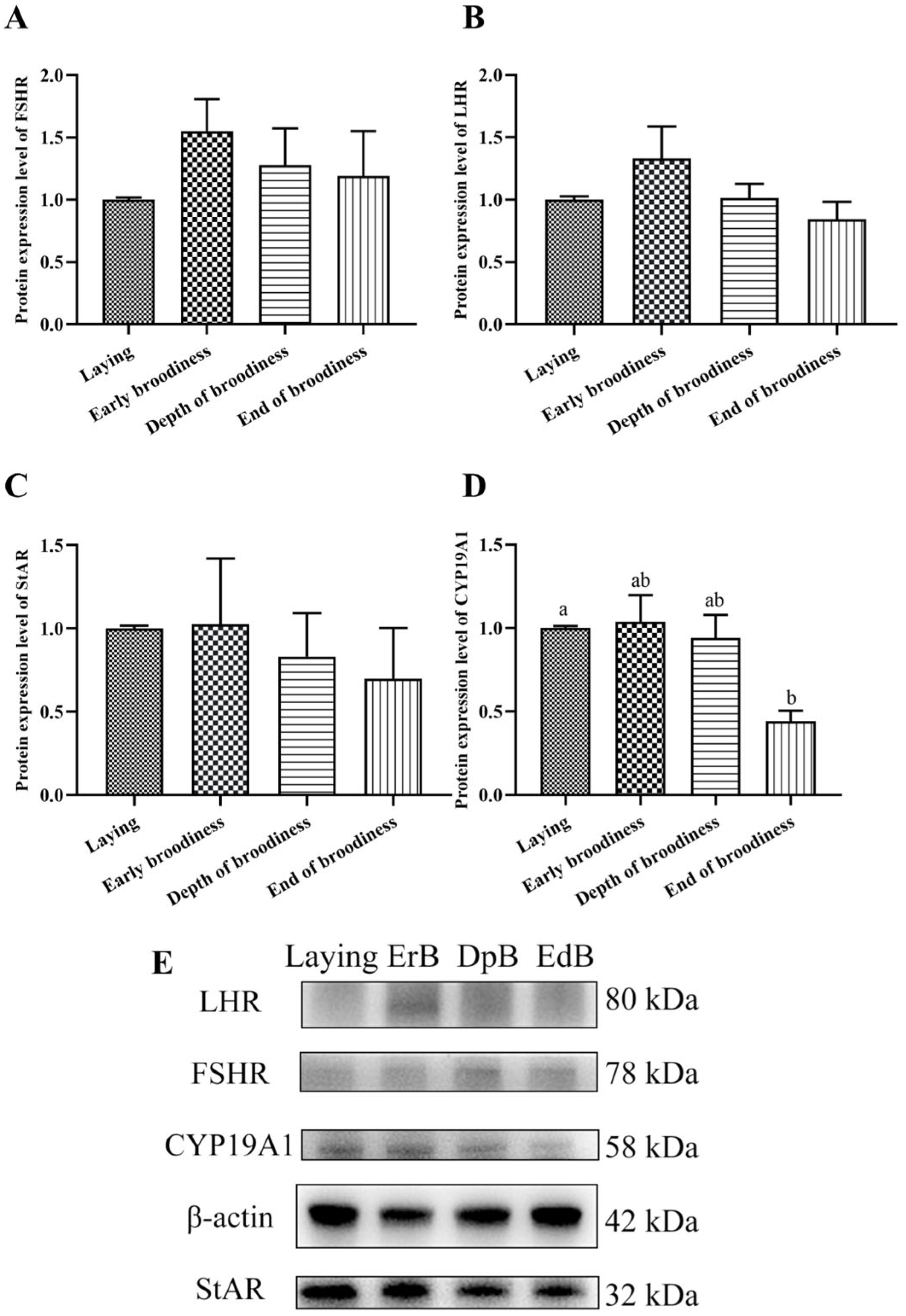 Animals 15 01390 g005
