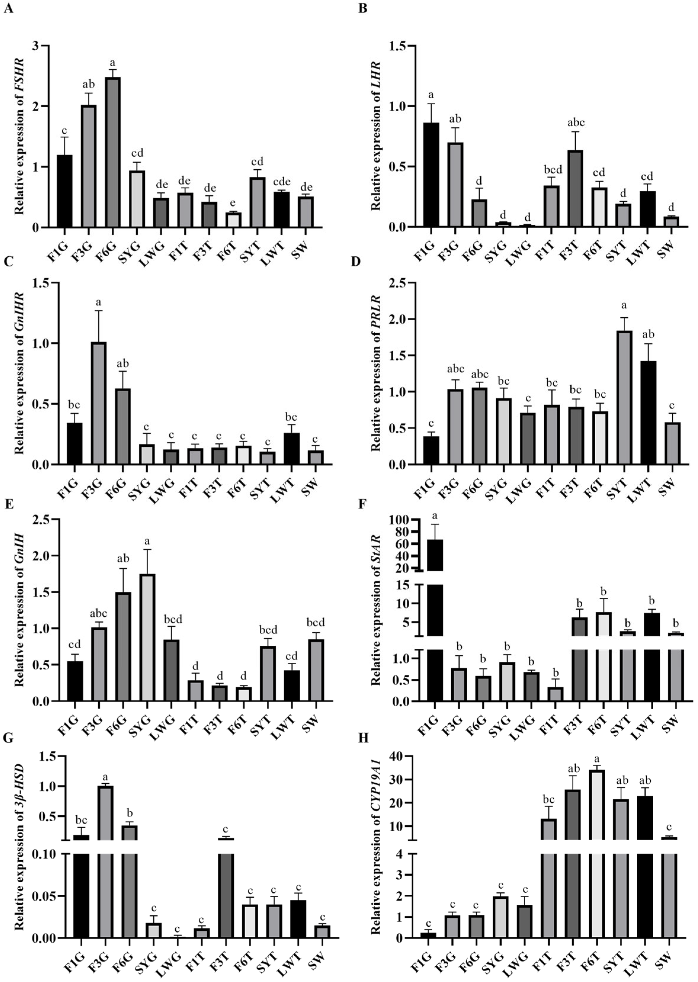 Animals 15 01390 g006