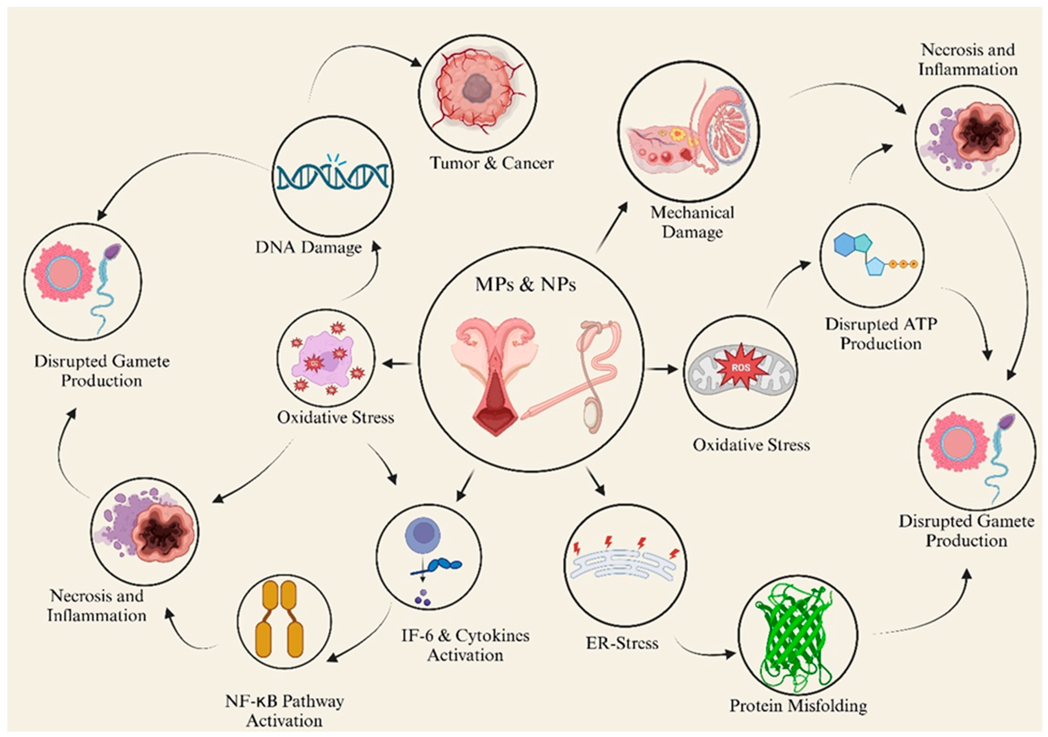 Animals 15 01394 g003 Animals 15 01394 g003