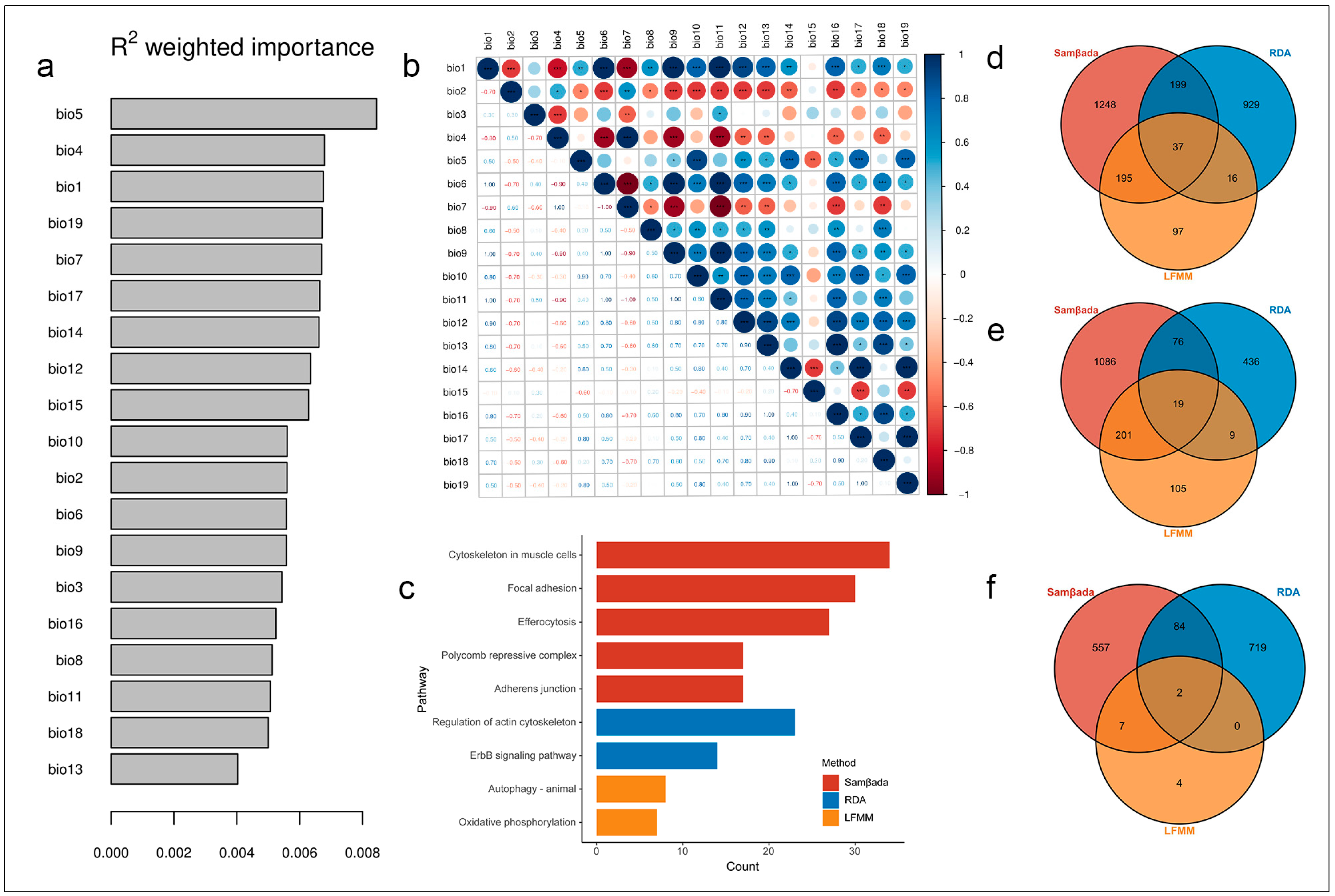 Animals 15 01395 g002