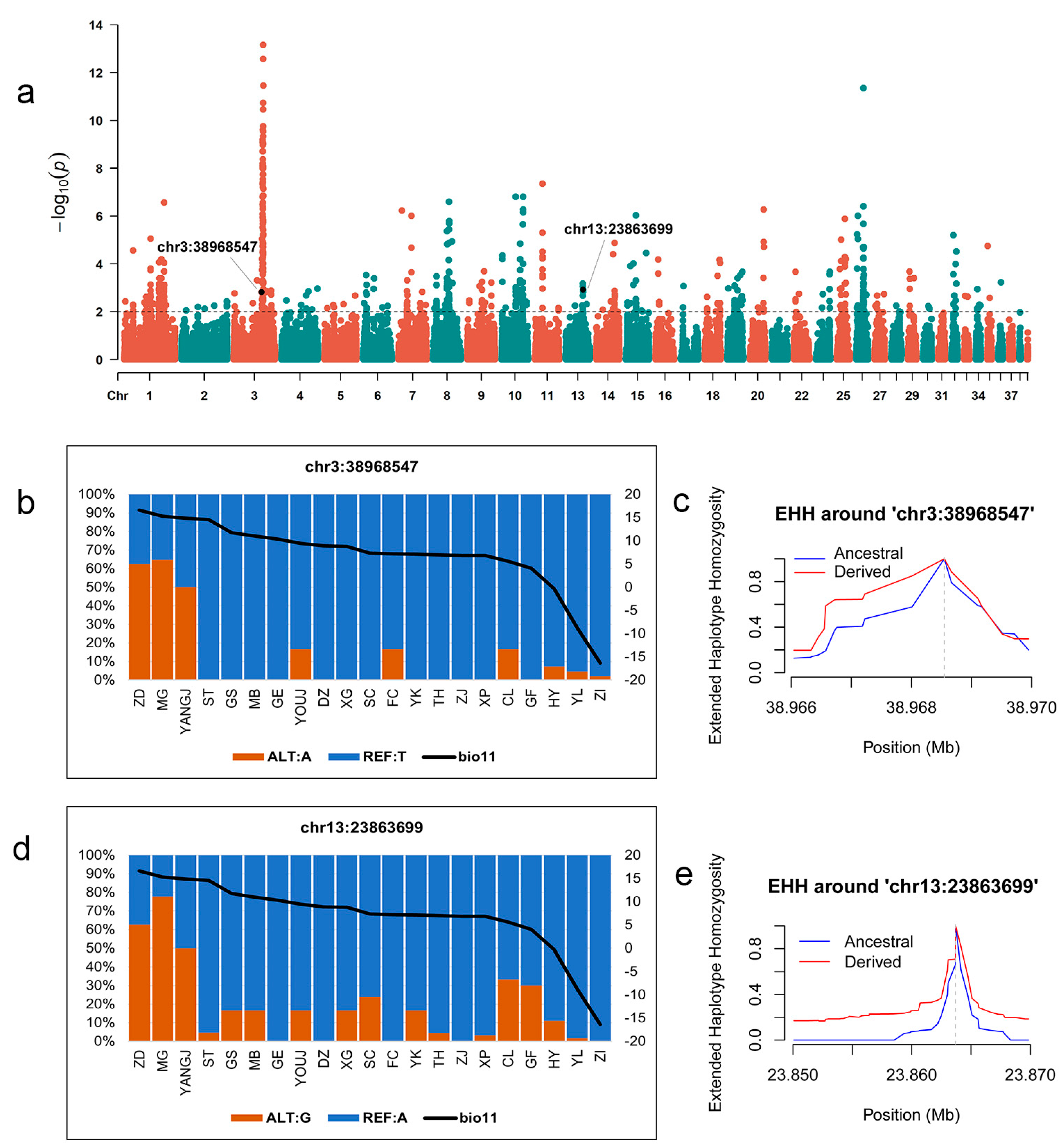 Animals 15 01395 g003
