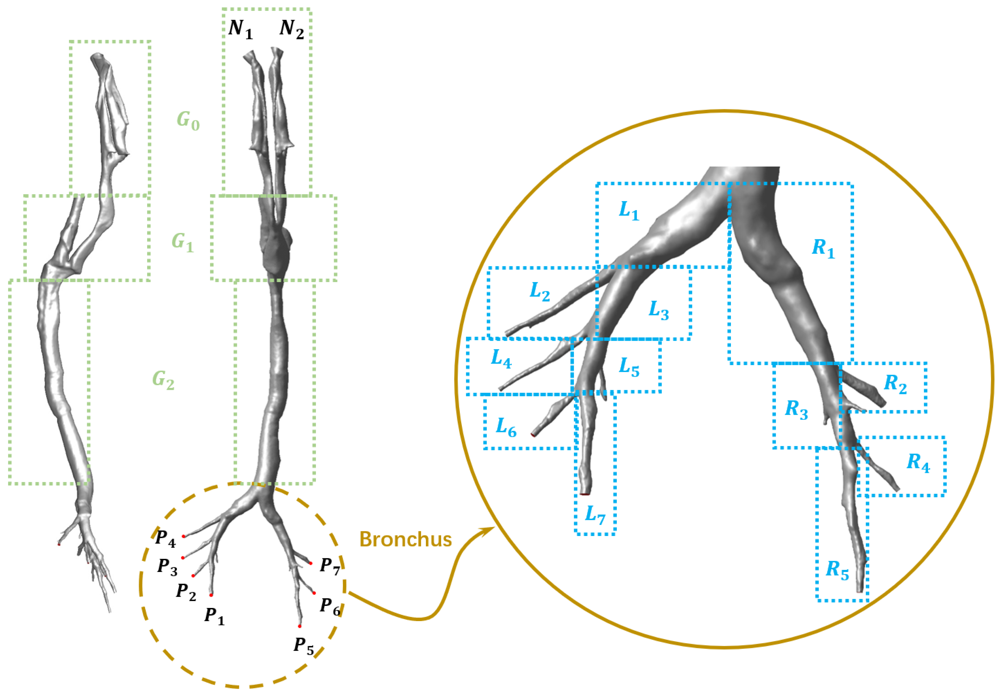 Animals 15 01396 g003 Animals 15 01396 g003