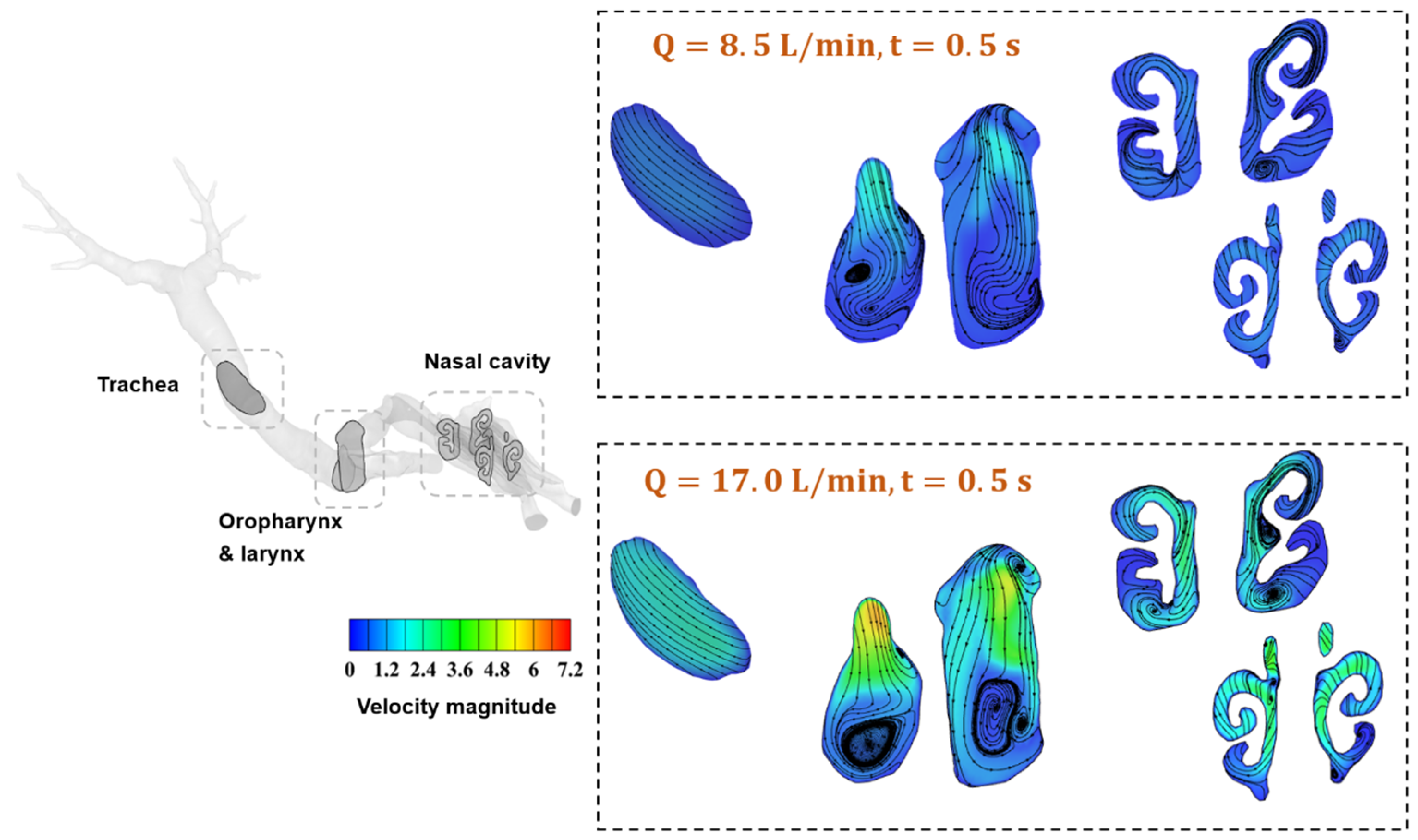 Animals 15 01396 g007 Animals 15 01396 g007