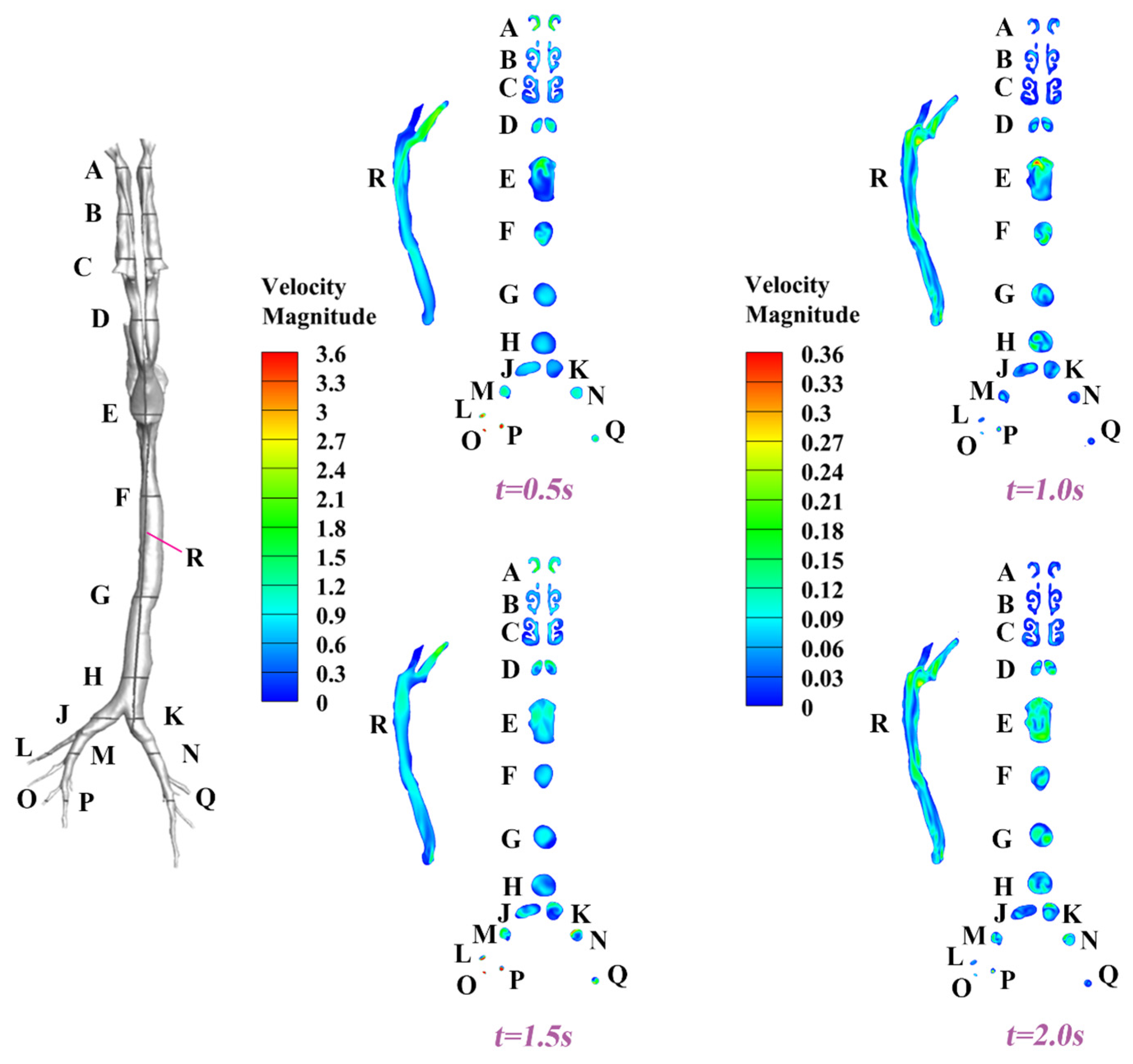 Animals 15 01396 g008 Animals 15 01396 g008