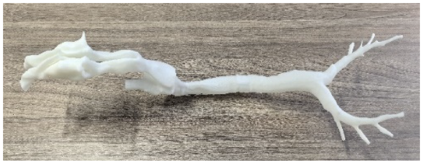 Animals 15 01396 i001 Animals 15 01396 i001