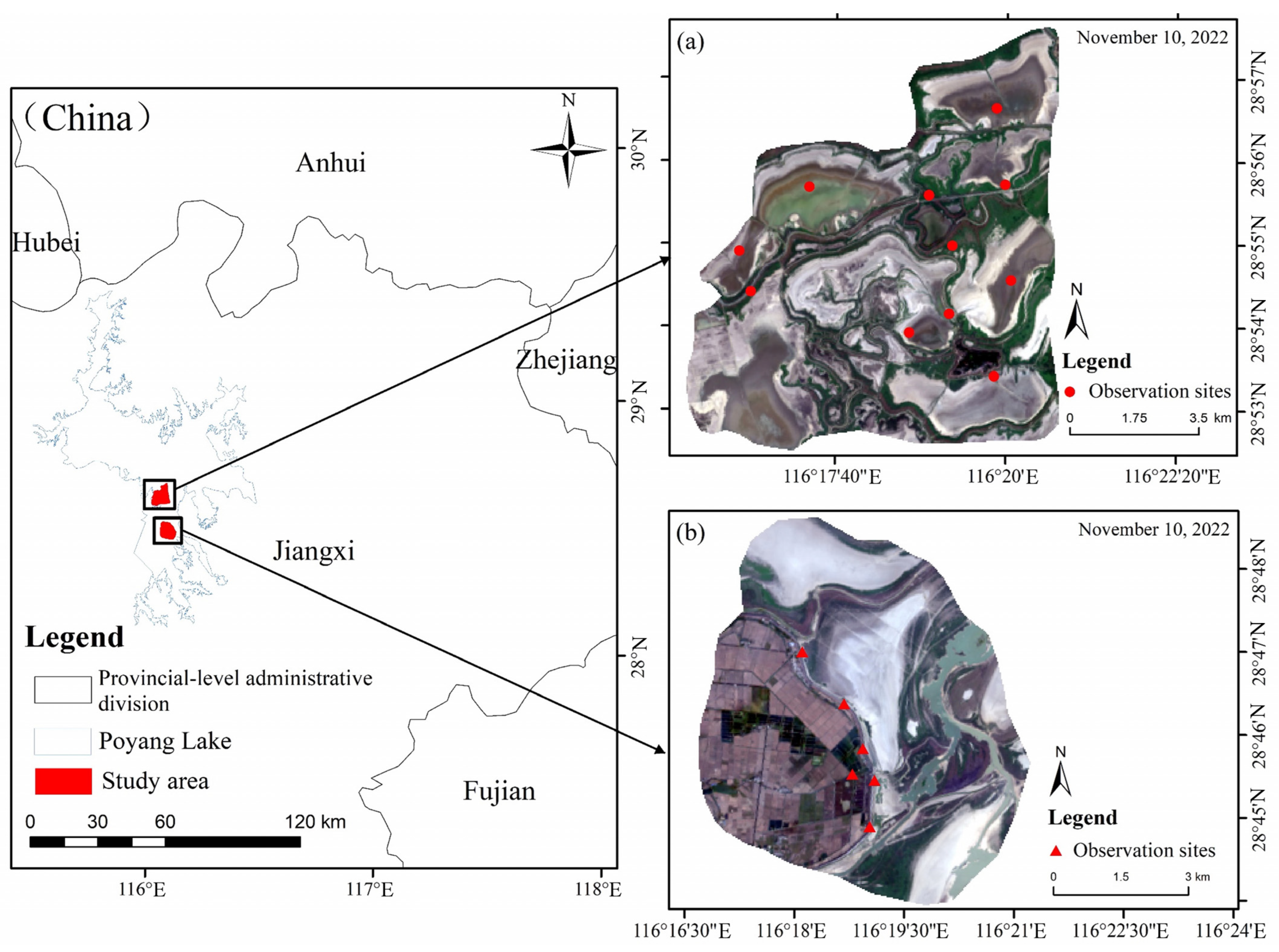 Animals 15 01399 g001