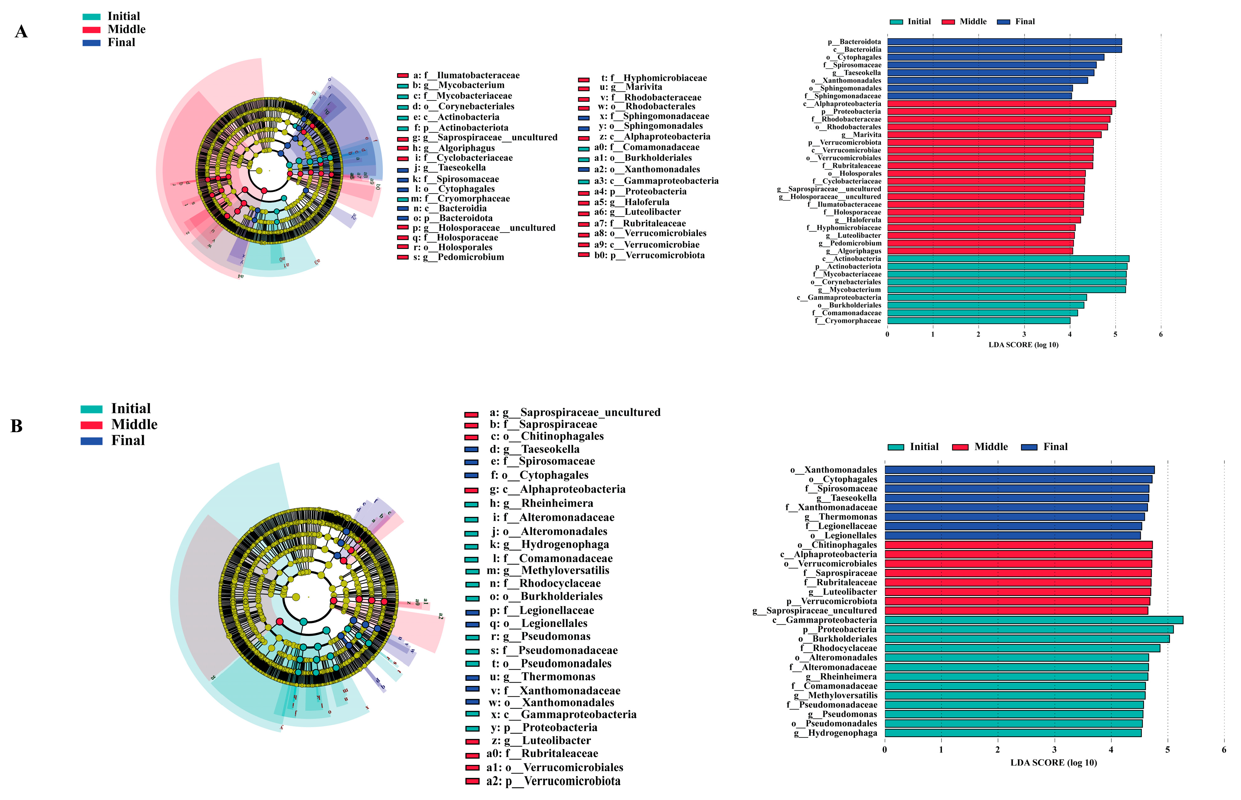 Animals 15 01400 g004