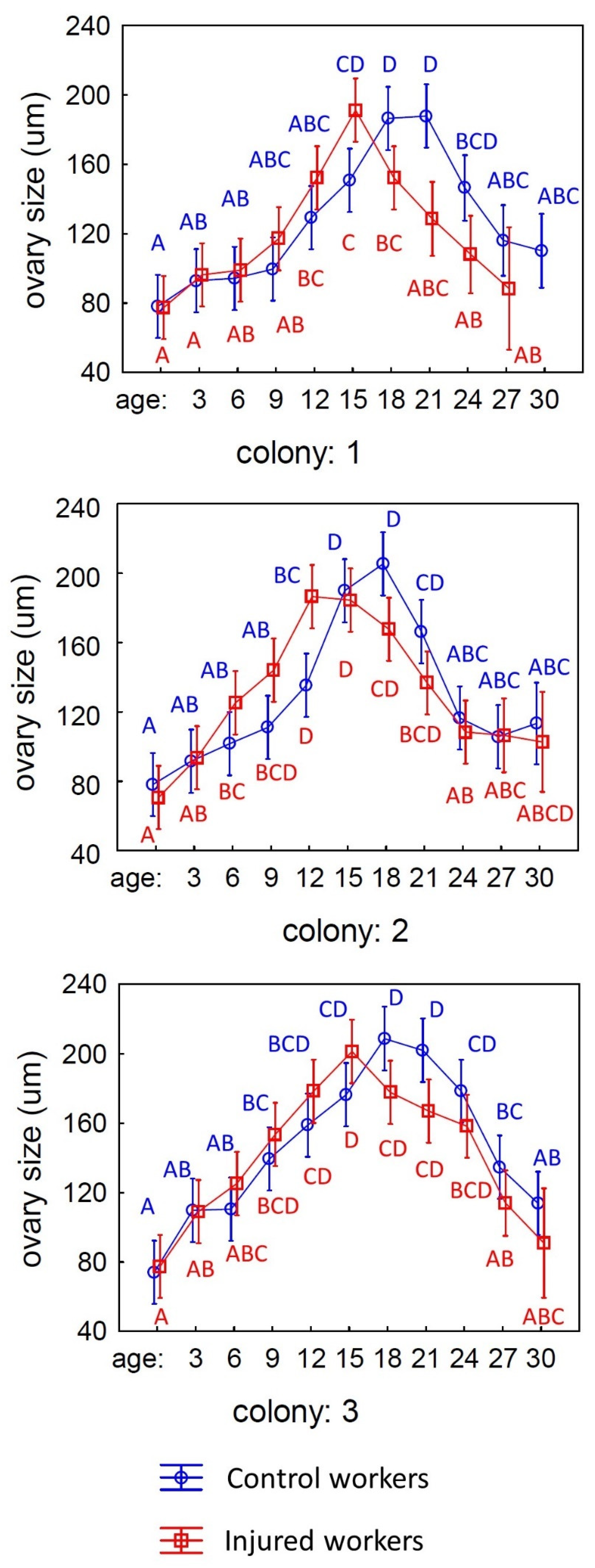 Animals 15 01402 g004