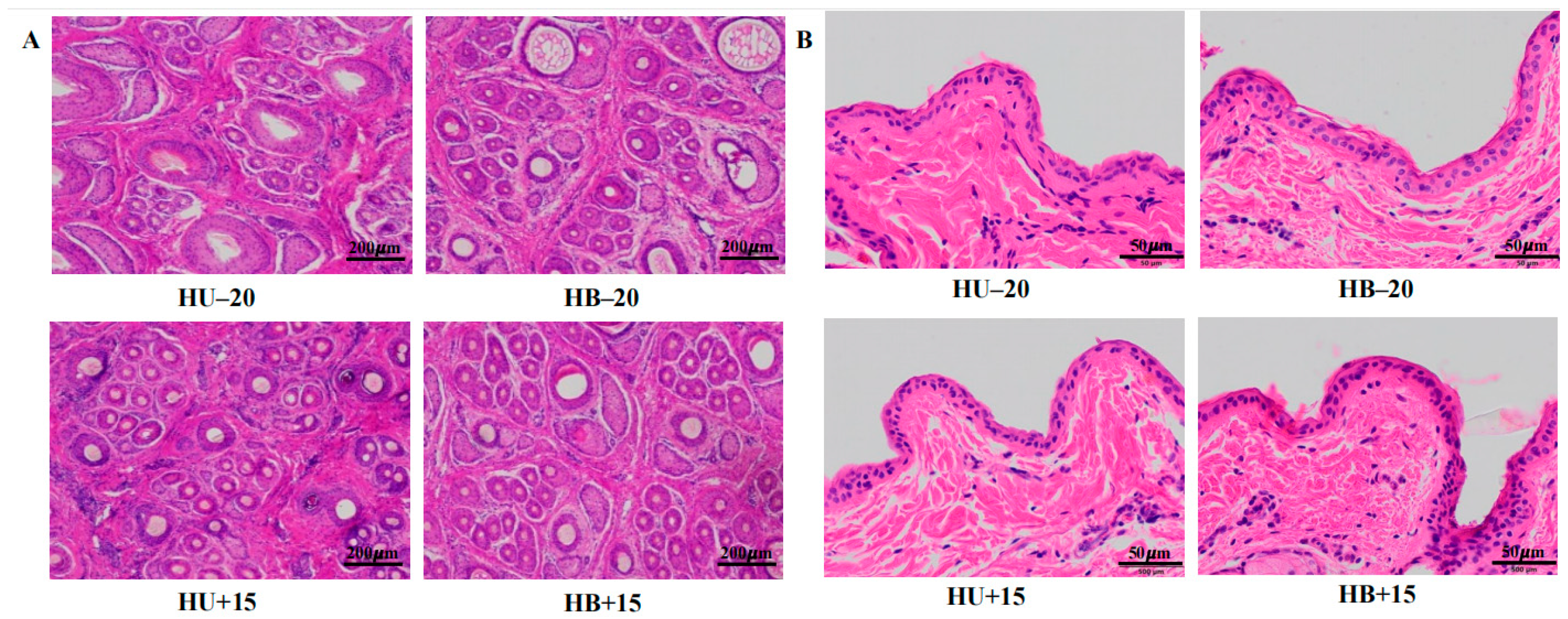 Animals 15 01405 g001