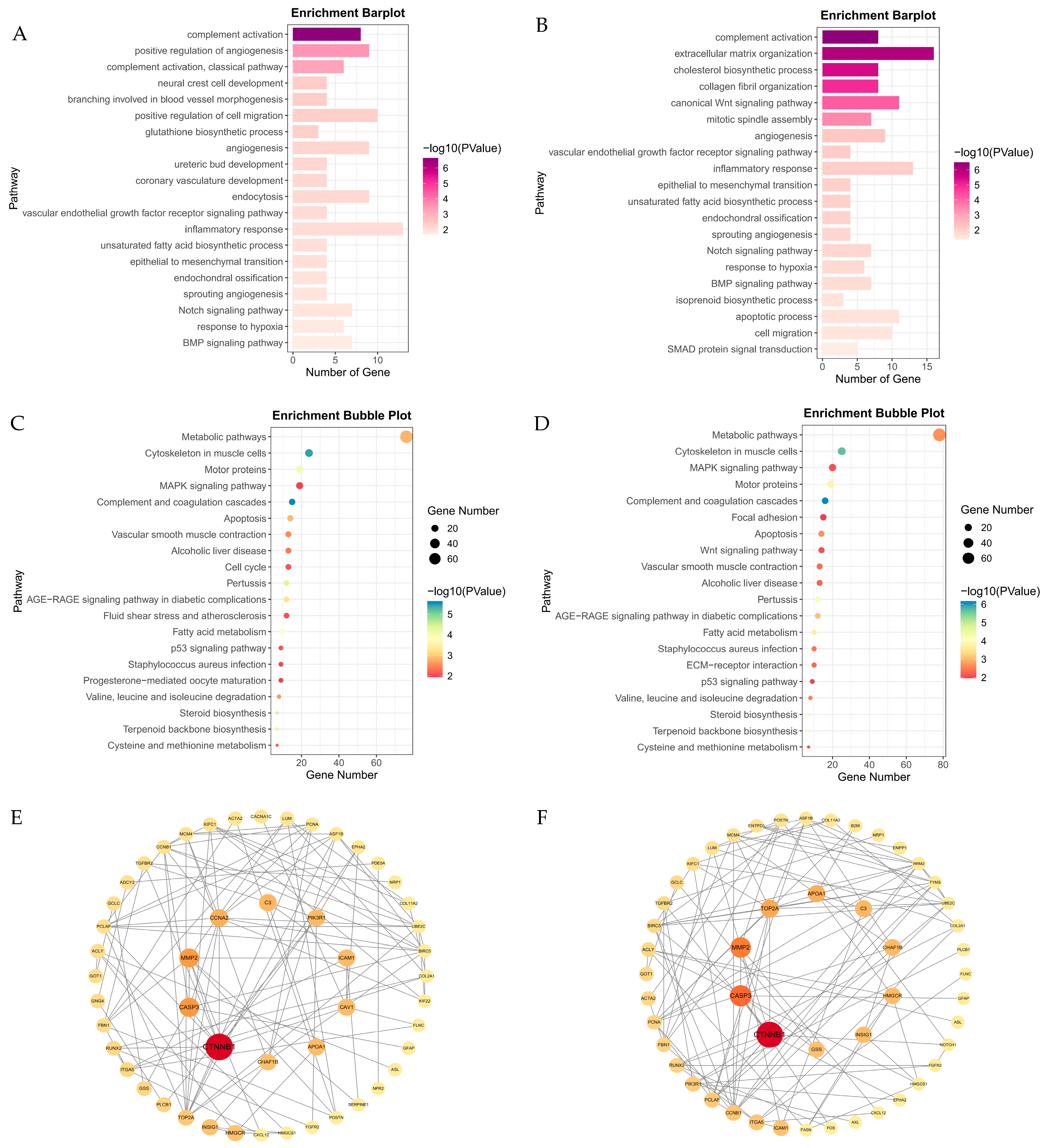 Animals 15 01407 g004
