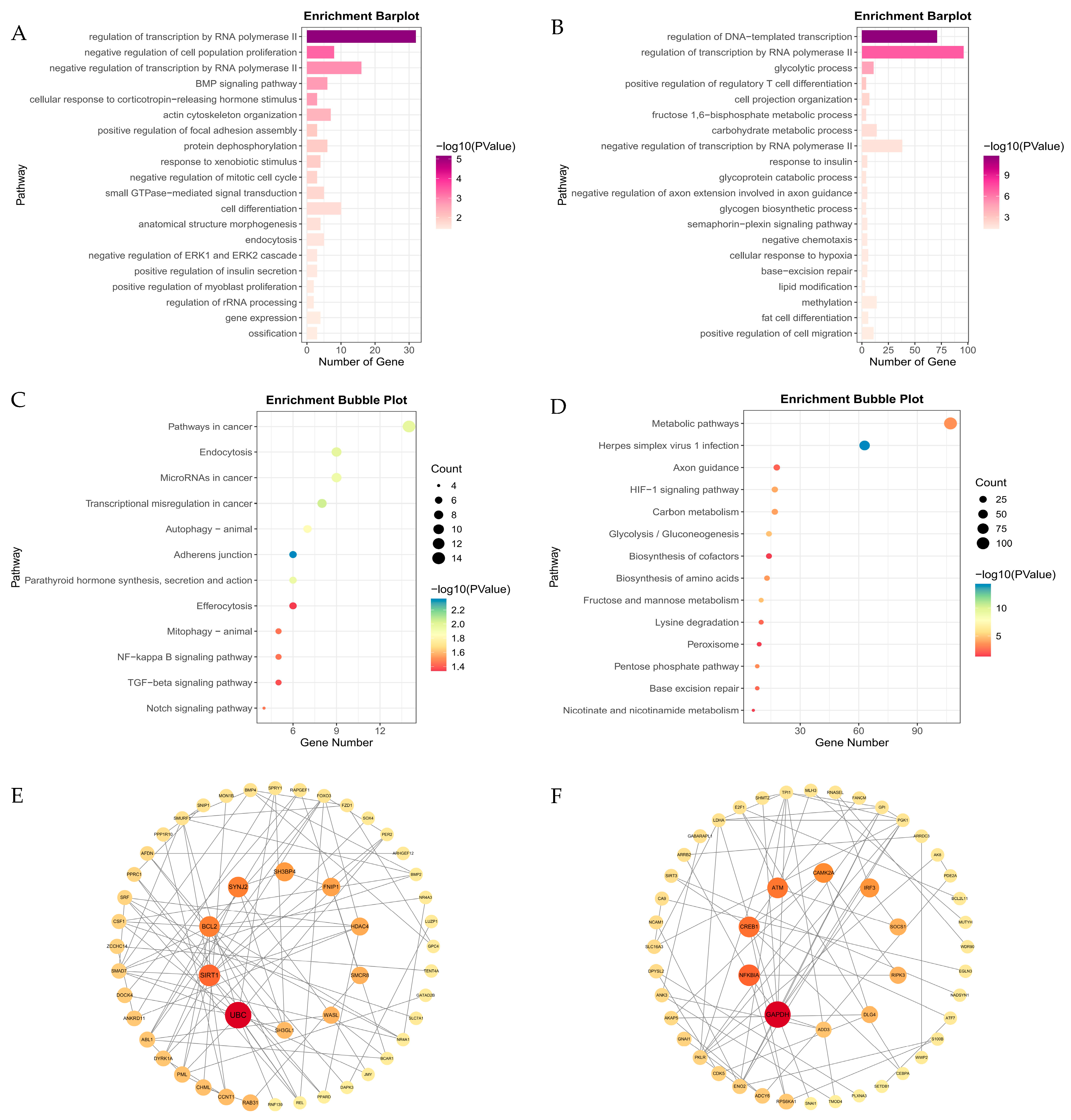 Animals 15 01407 g007