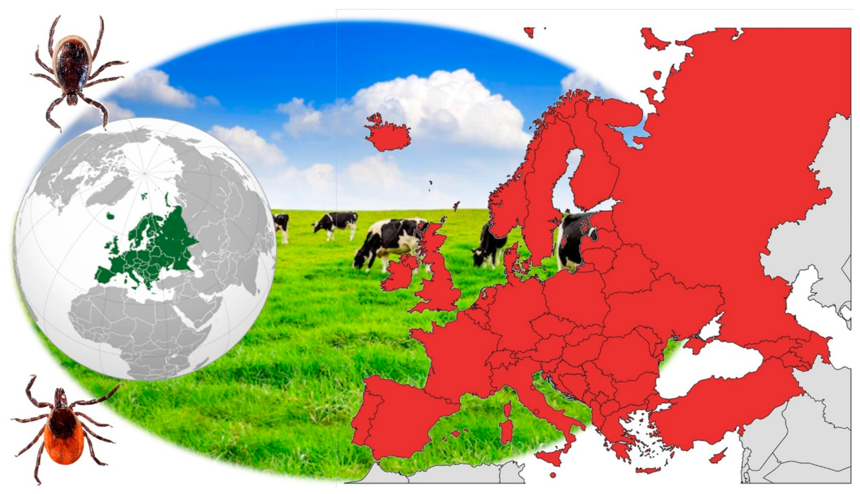 Animals 15 01408 g001