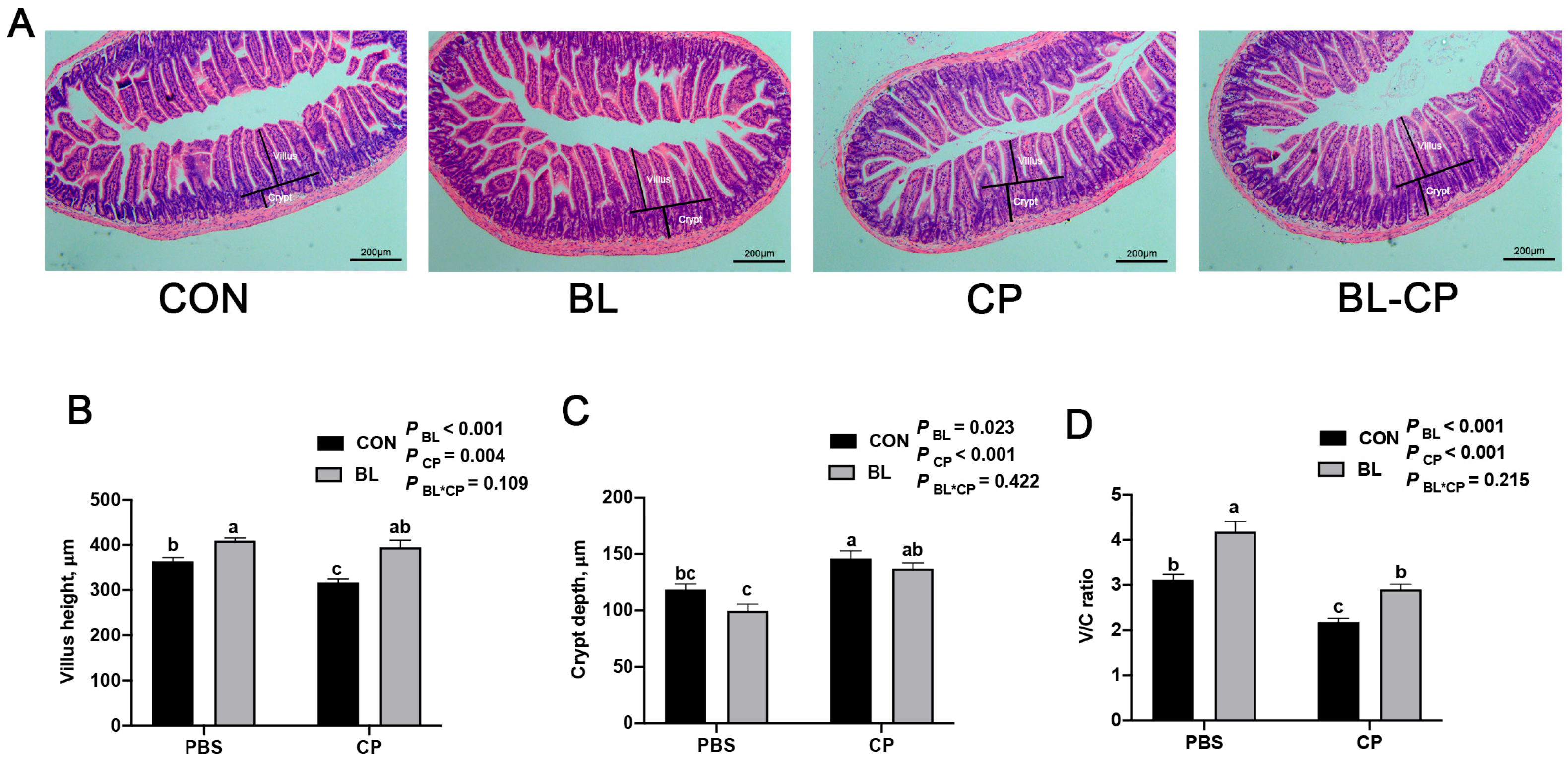 Animals 15 01409 g004