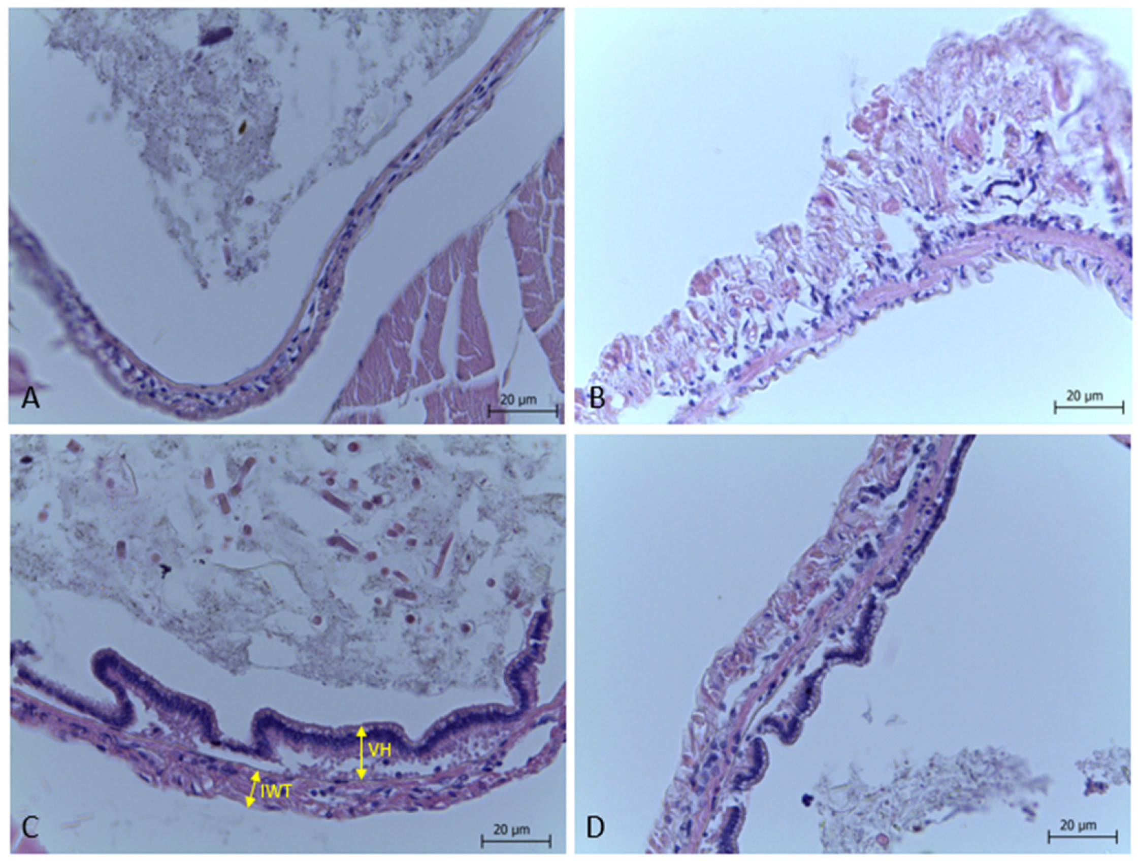 Animals 15 01410 g002