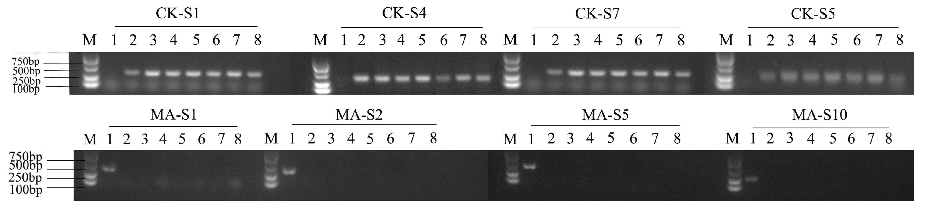 Animals 15 01411 g002