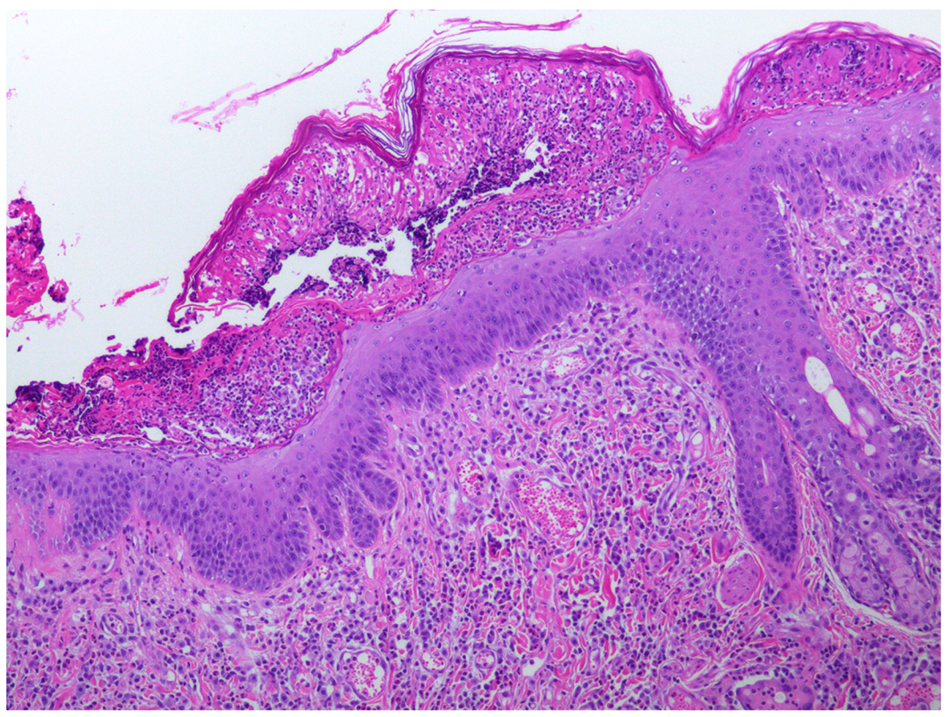 Animals 15 01416 g001 Animals 15 01416 g001