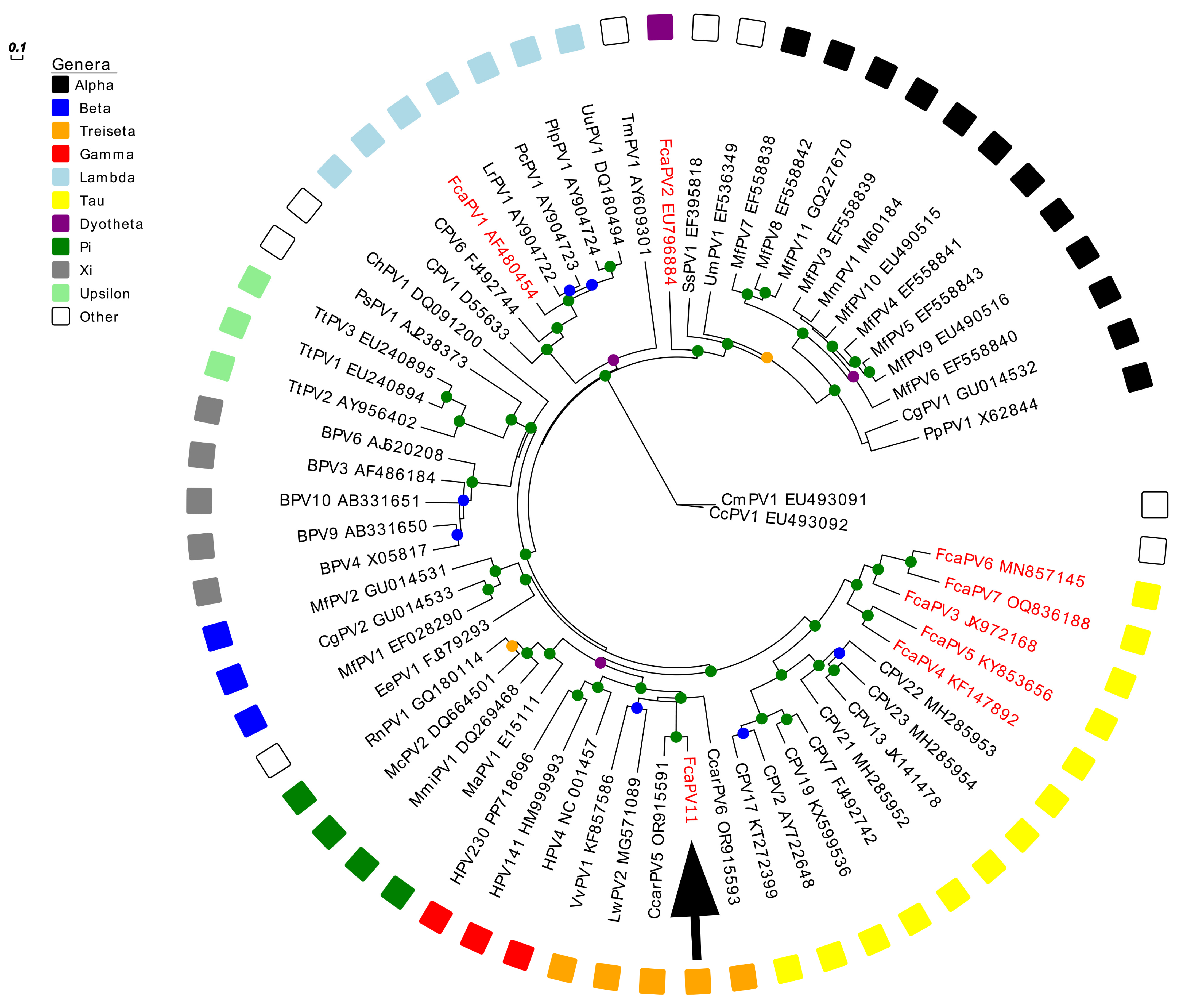 Animals 15 01416 g005 Animals 15 01416 g005