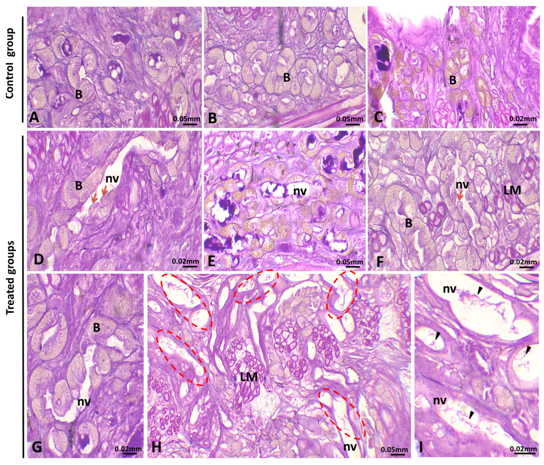 Animals 15 01417 g004