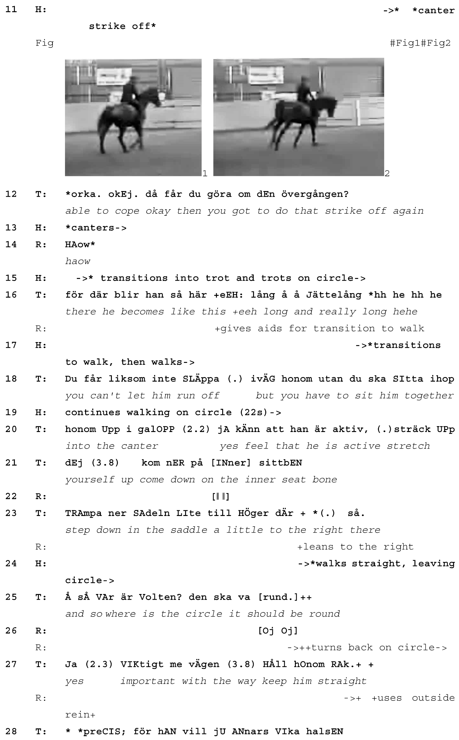 Animals 15 01418 i001b