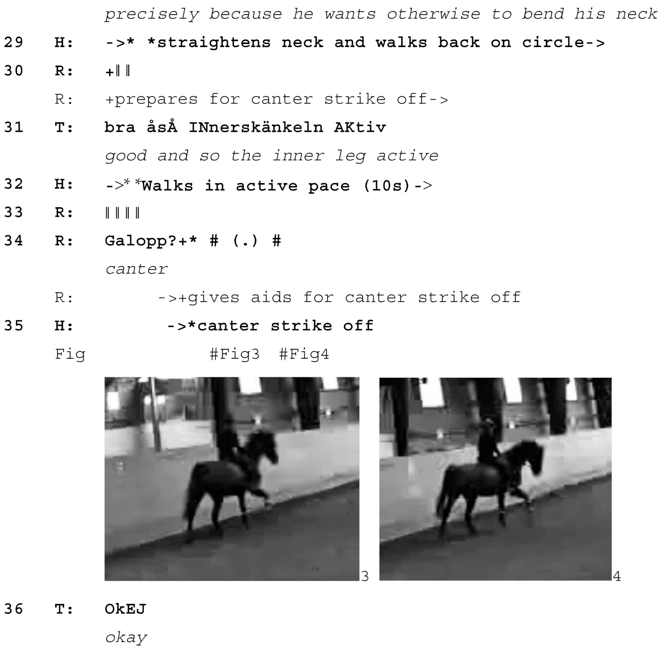 Animals 15 01418 i001c