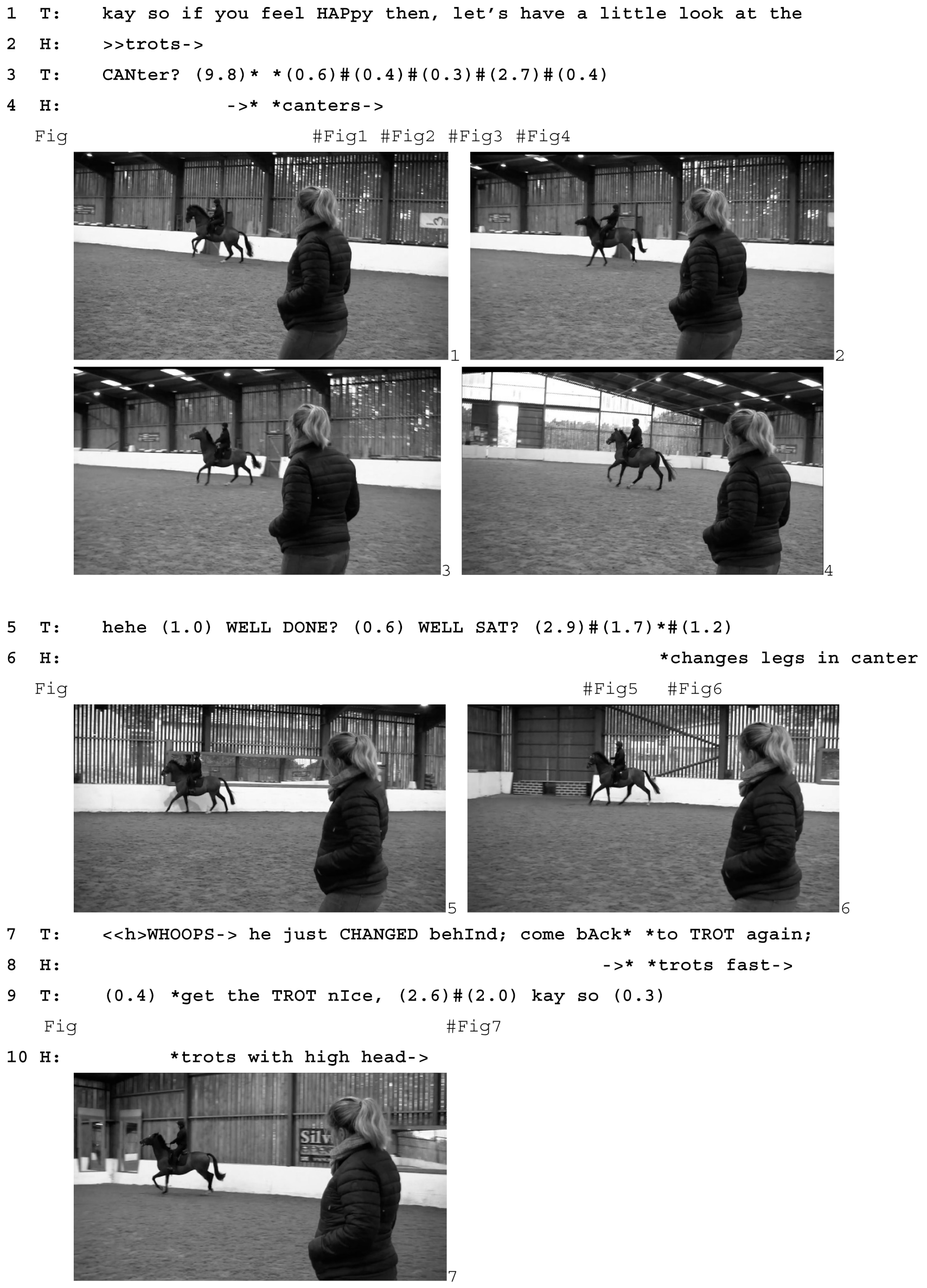 Animals 15 01418 i002a