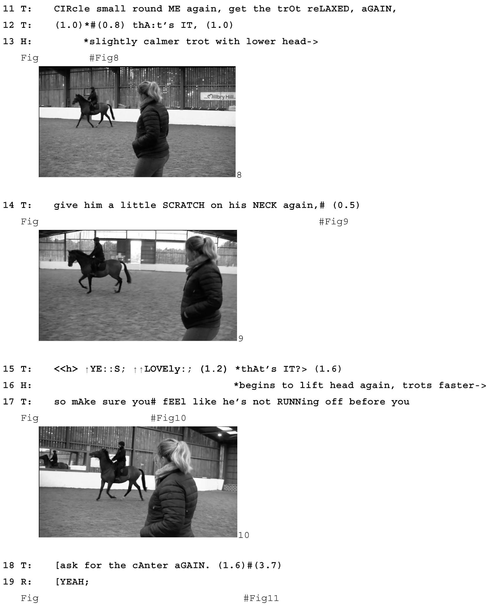 Animals 15 01418 i002b