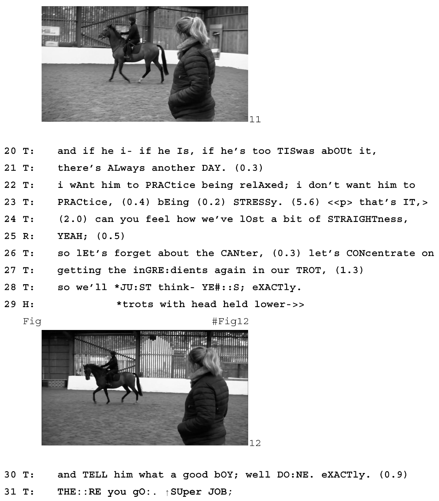 Animals 15 01418 i002c