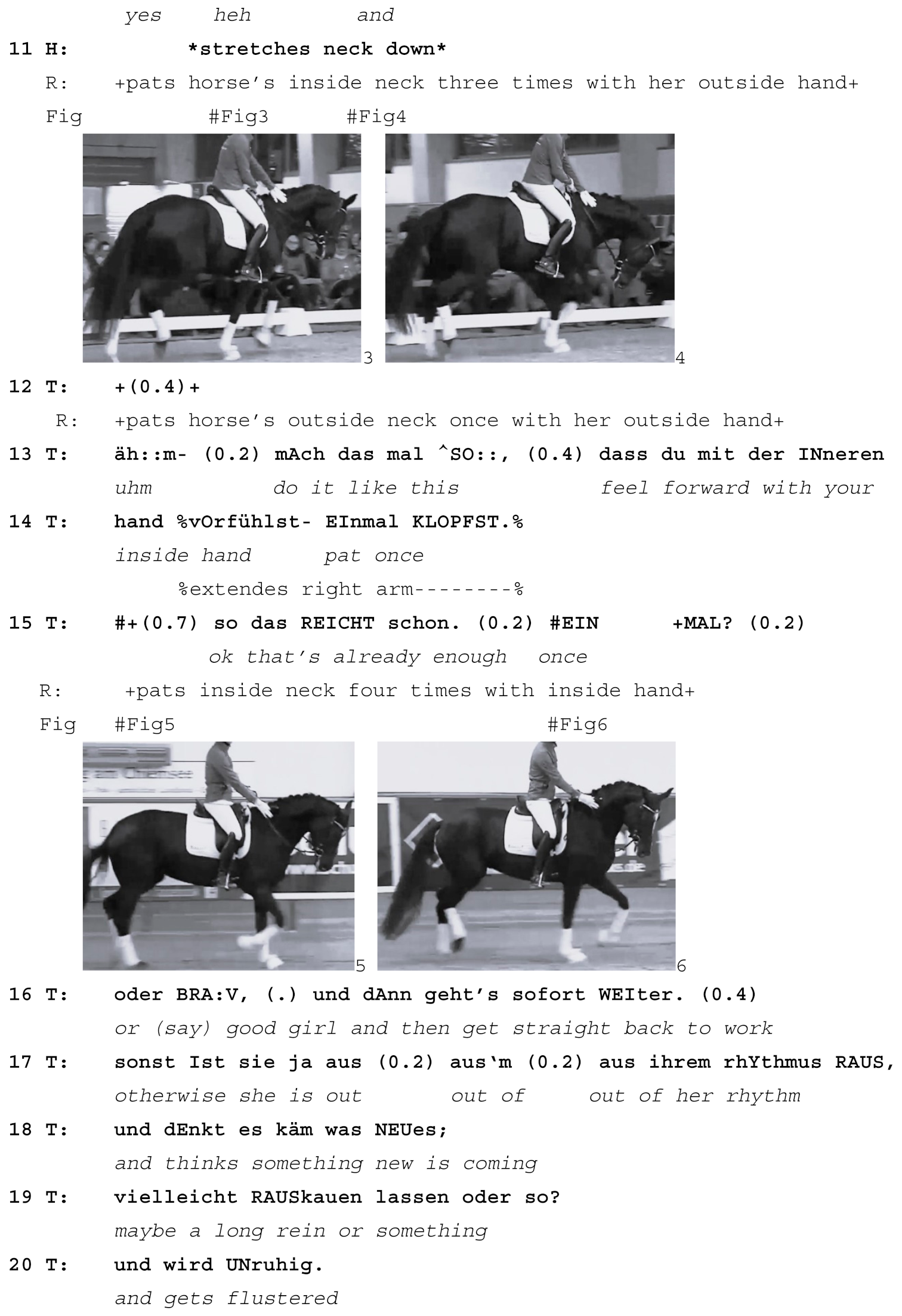 Animals 15 01418 i006b