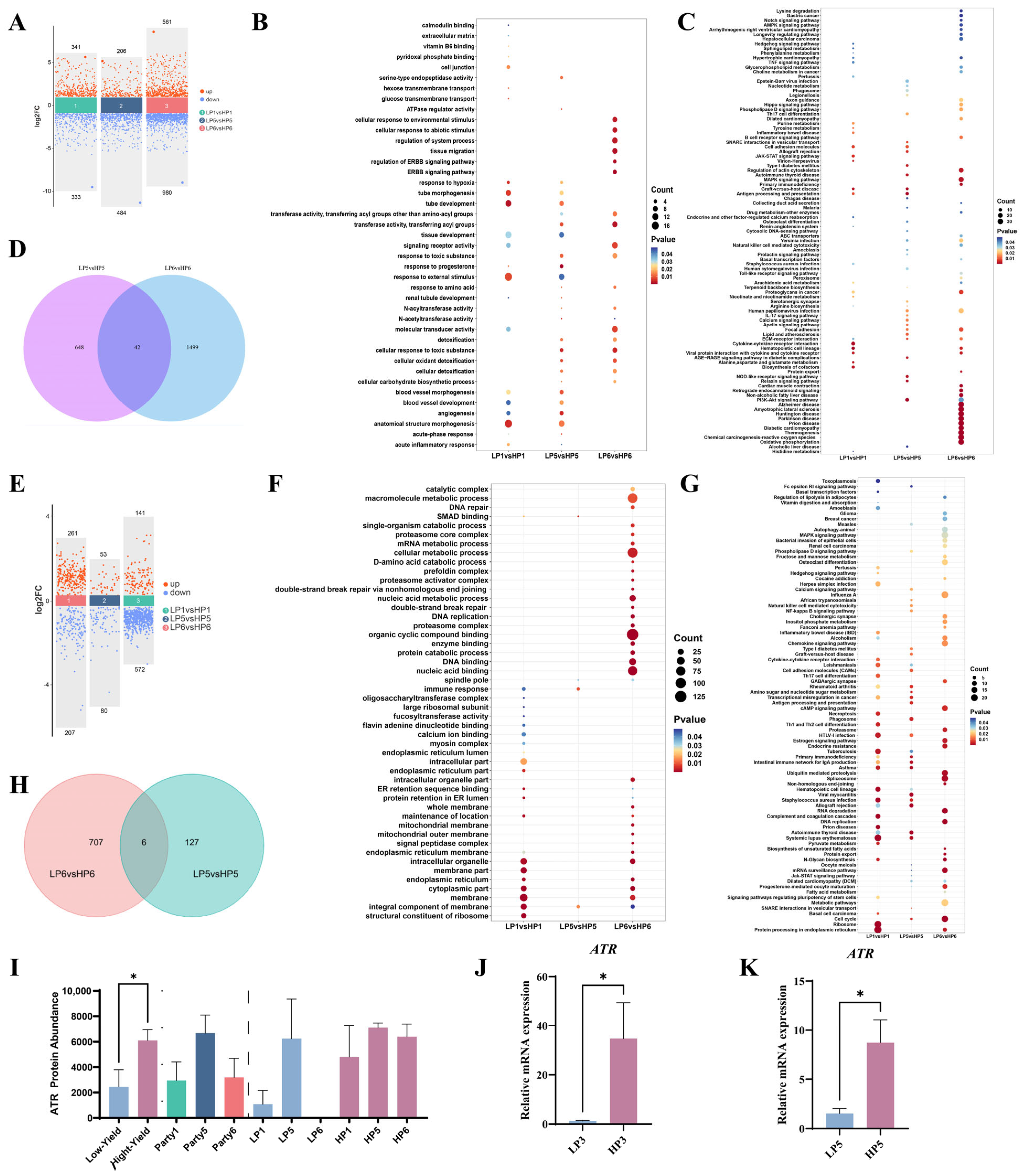 Animals 15 01419 g001