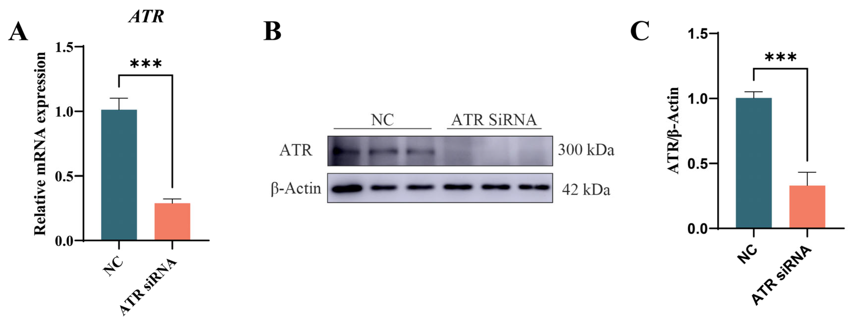 Animals 15 01419 g002