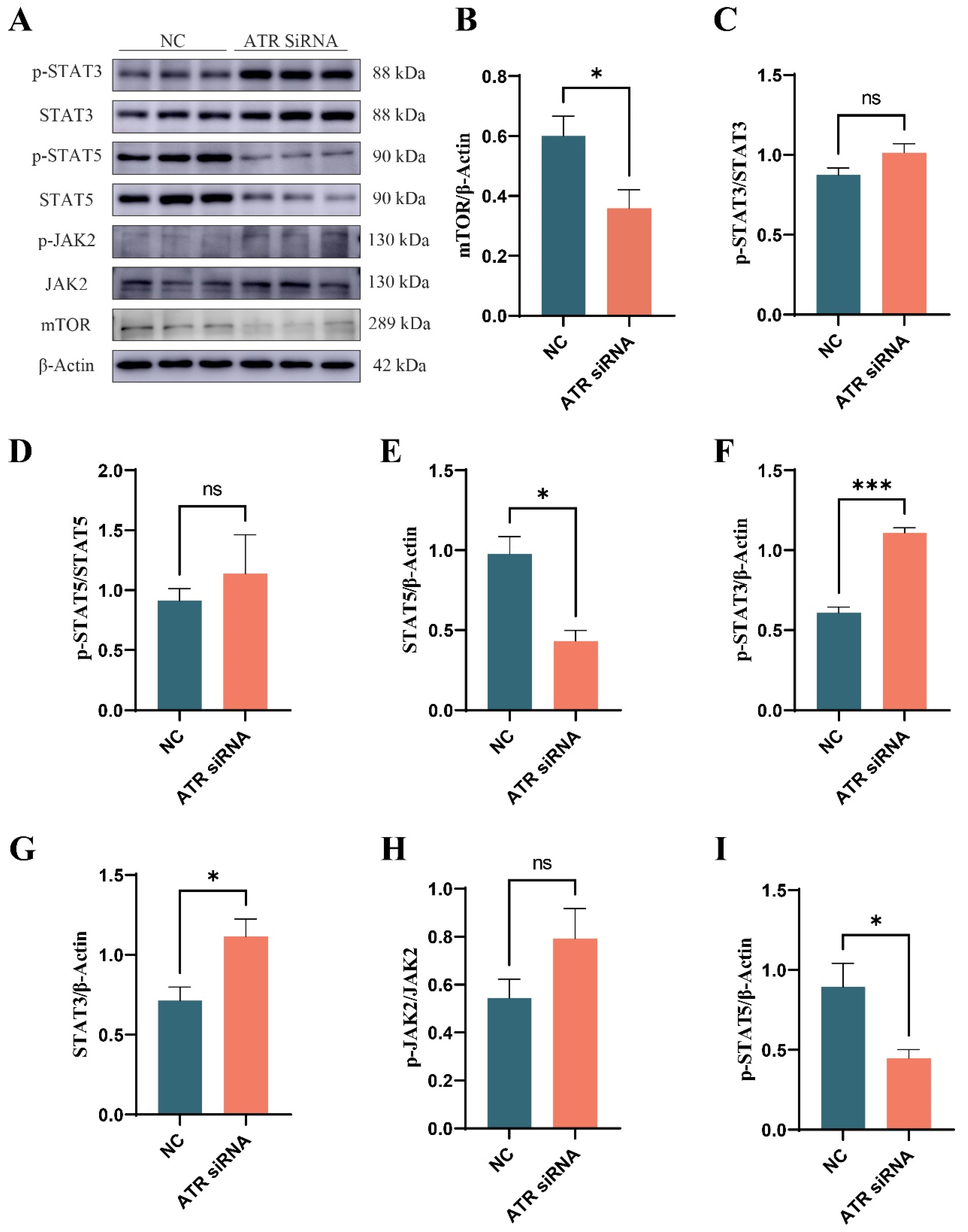 Animals 15 01419 g007