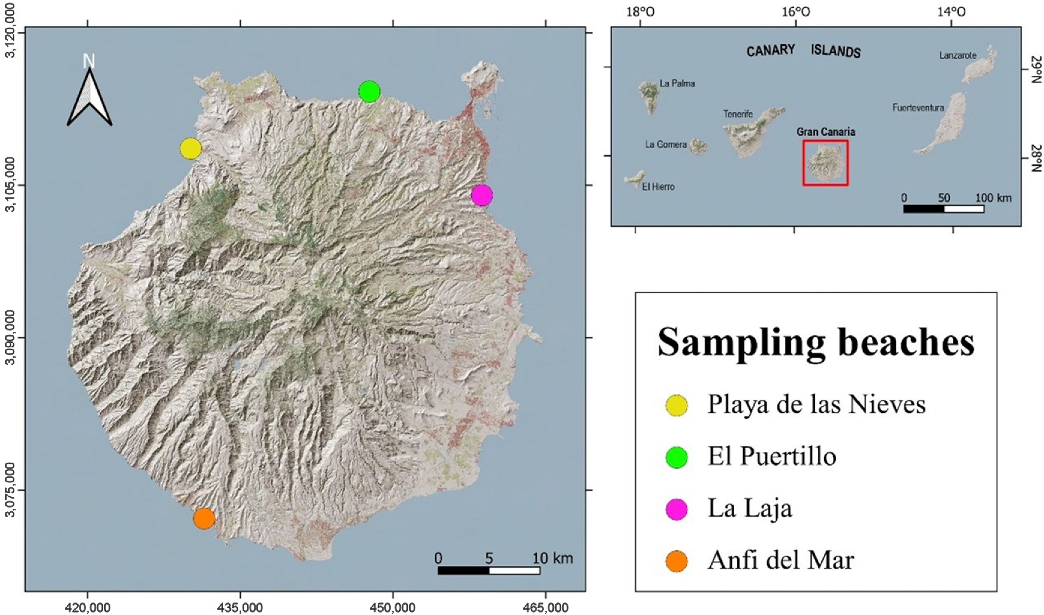 Animals 15 01420 g001