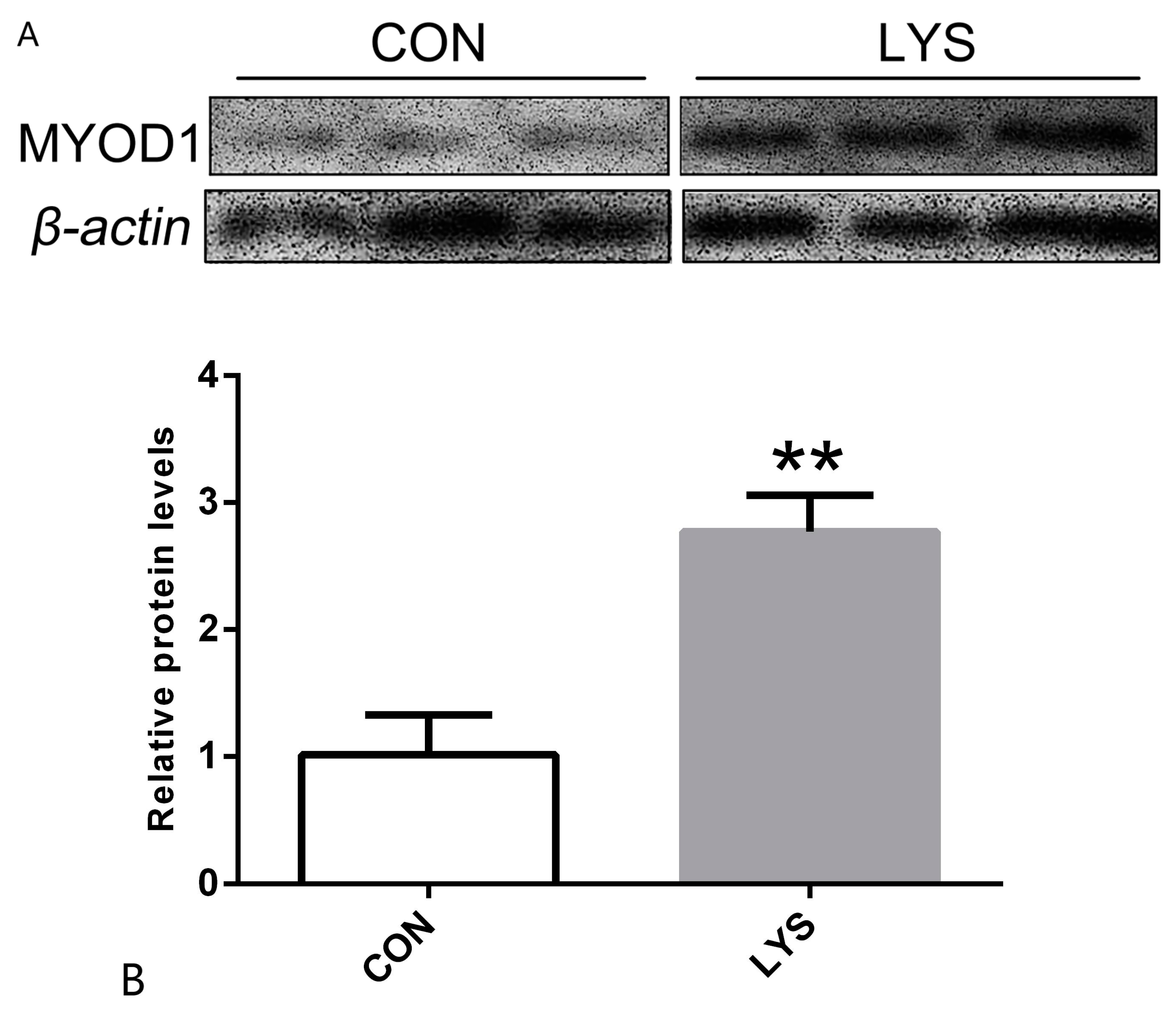Animals 15 01425 g003