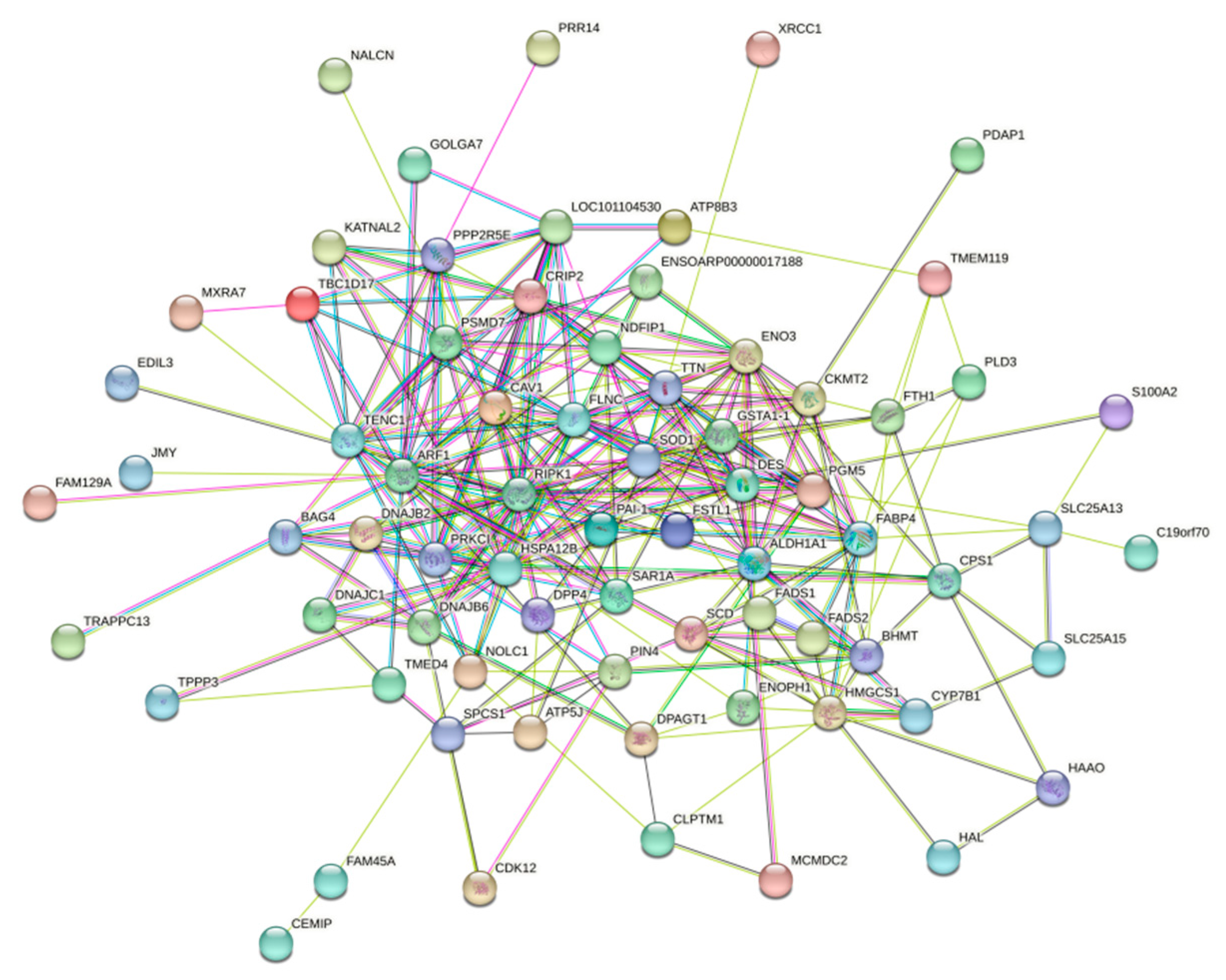 Animals 15 01425 g008