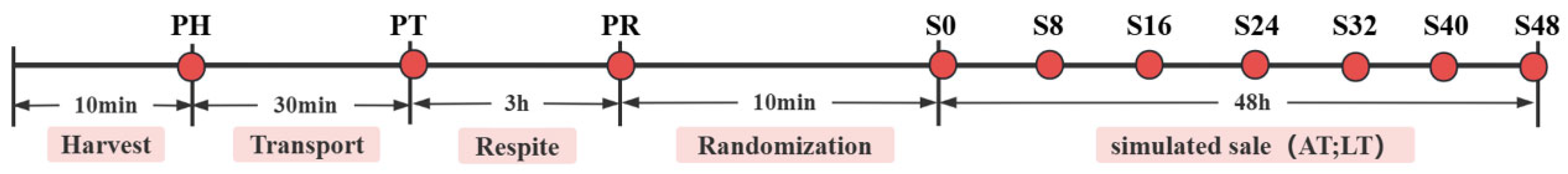 Animals 15 01431 g001