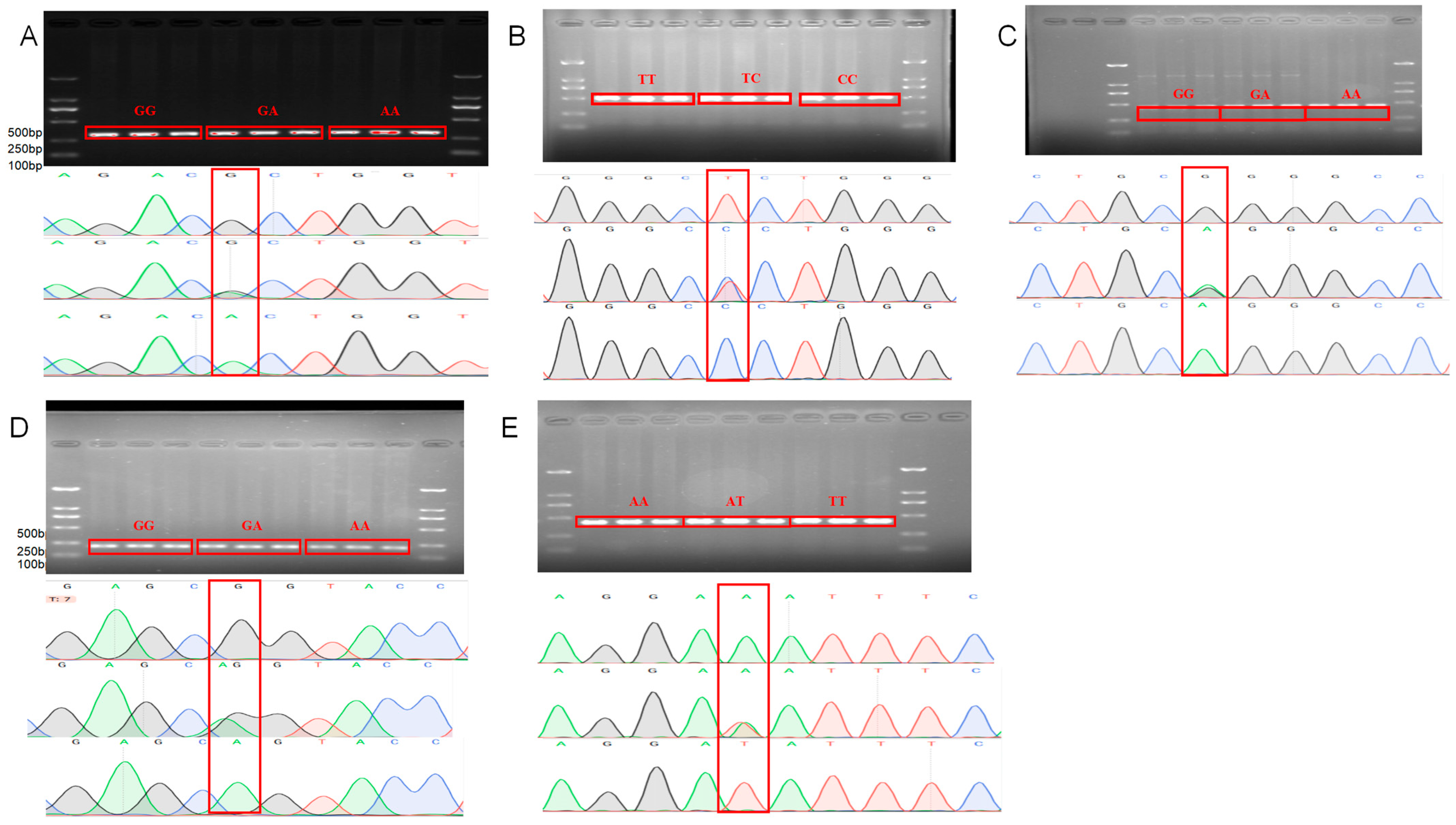 Animals 15 01432 g001