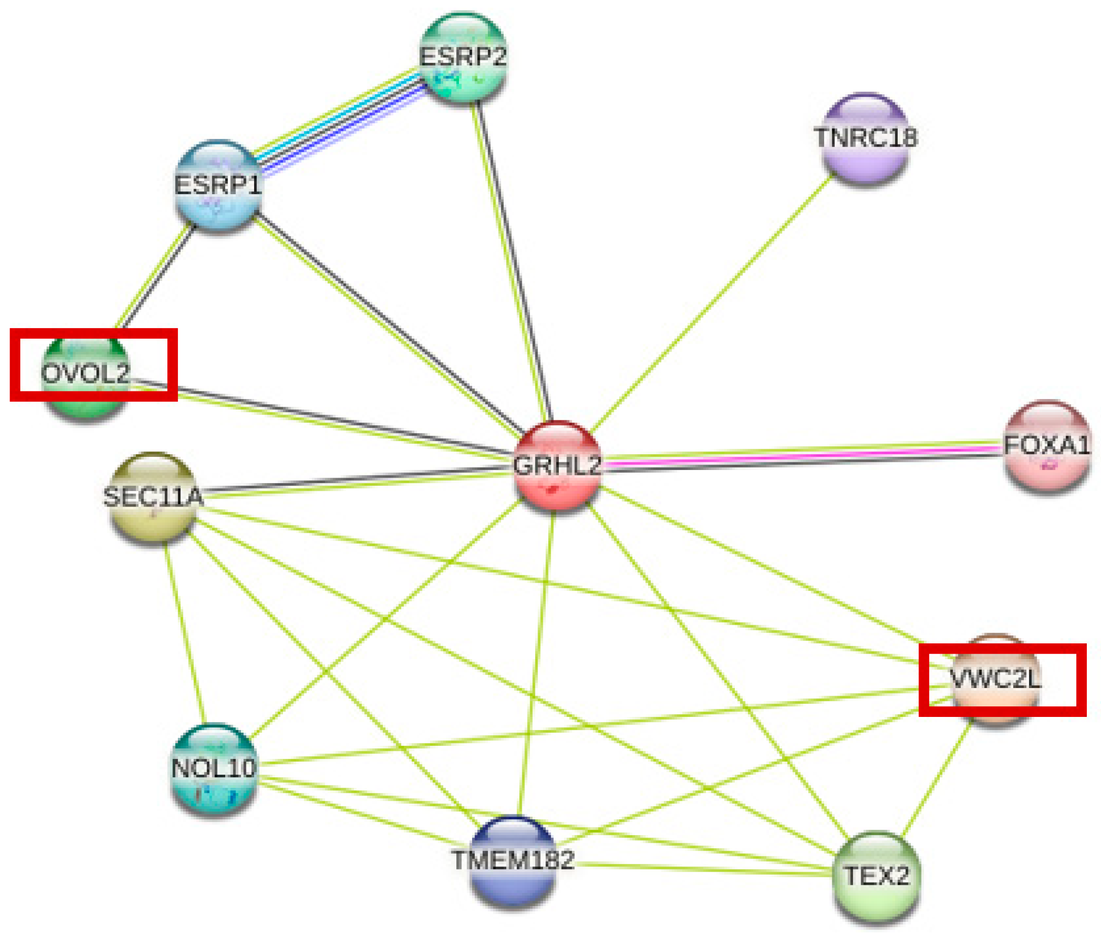 Animals 15 01432 g003